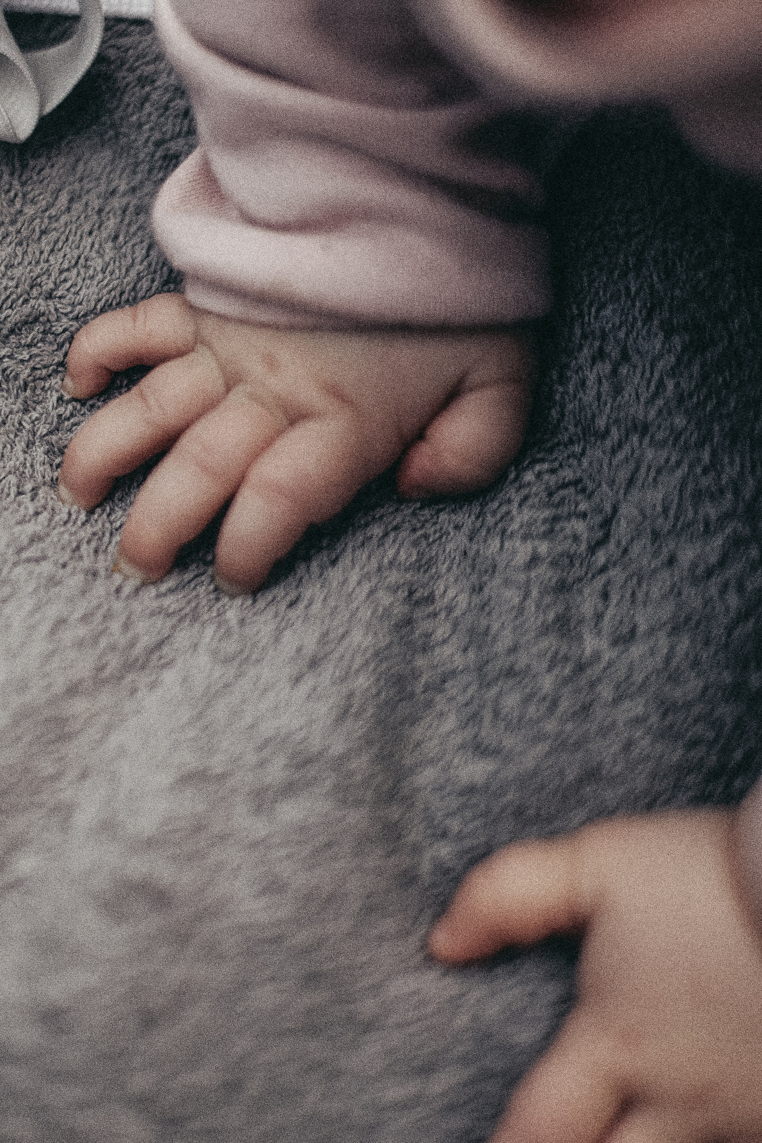 Семья. Фотограф Новикова Ольга