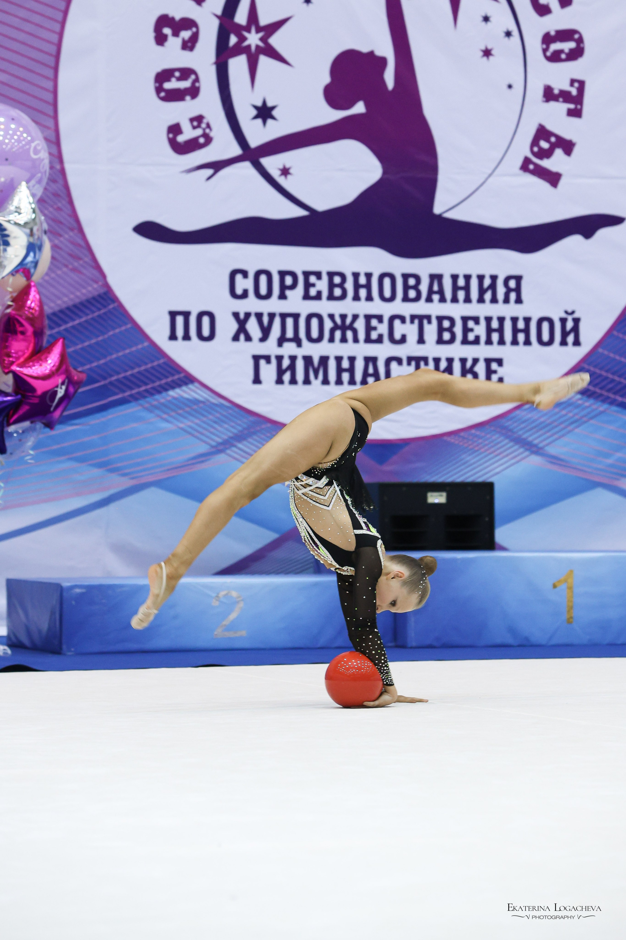 Спорт. Logacheva Ekaterina