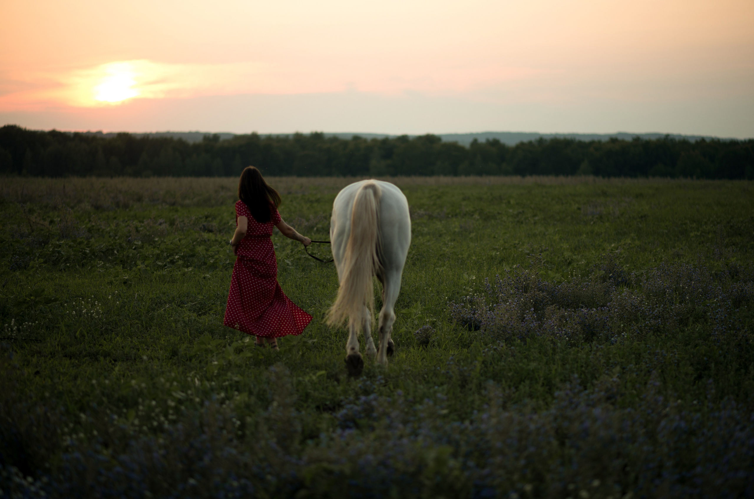 Девушки, Каспиец и Багрец. Конный фотограф в Саратове Юлия Иванова