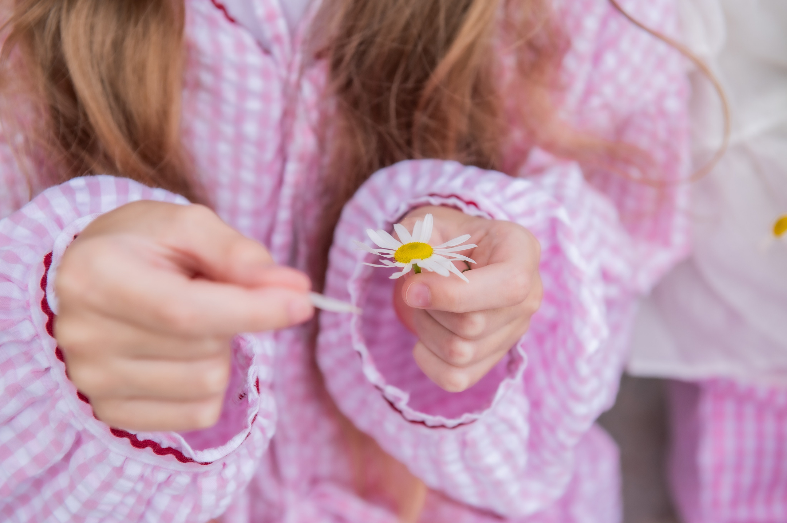 День рождение. Пикник на природе. Свадебный и семейный фотограф в Санкт-Петербурге — Мария Черепанова
