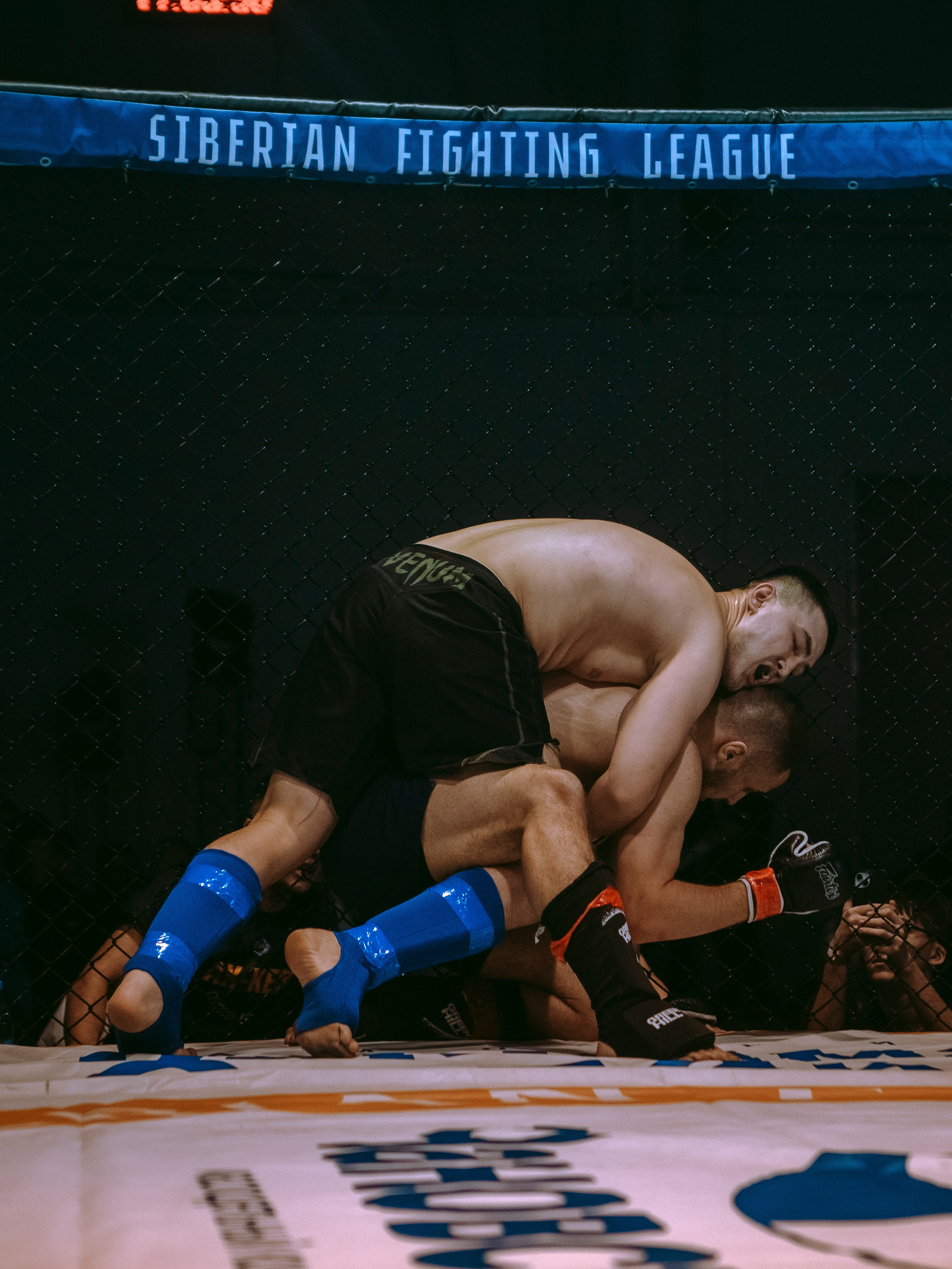 SFL 17 | Siberian Fighting League. Портретный фотограф в Москве Дарья Цезария