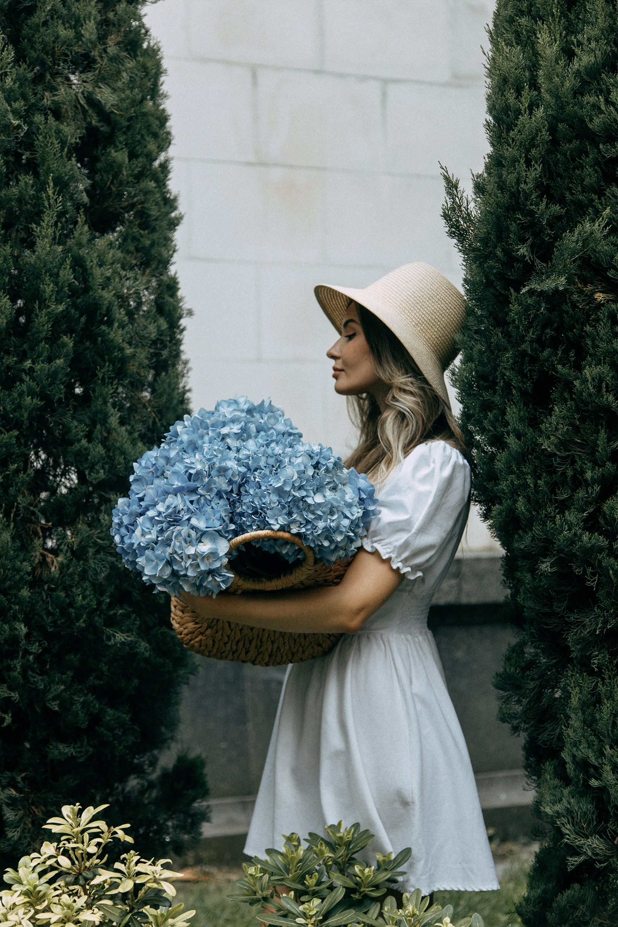 Фотосессия с гортензиями в Батуми