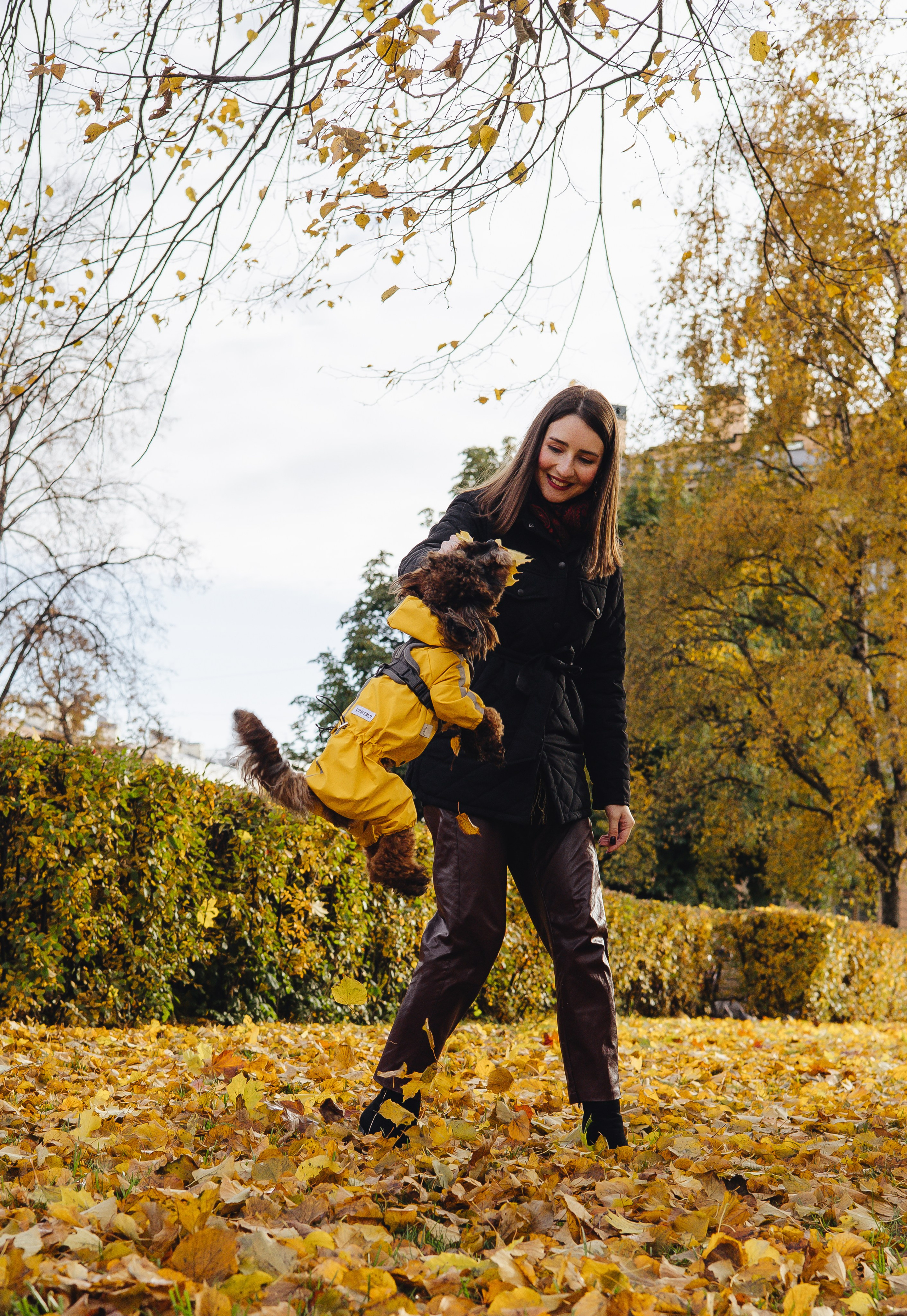 Летающая Мерси