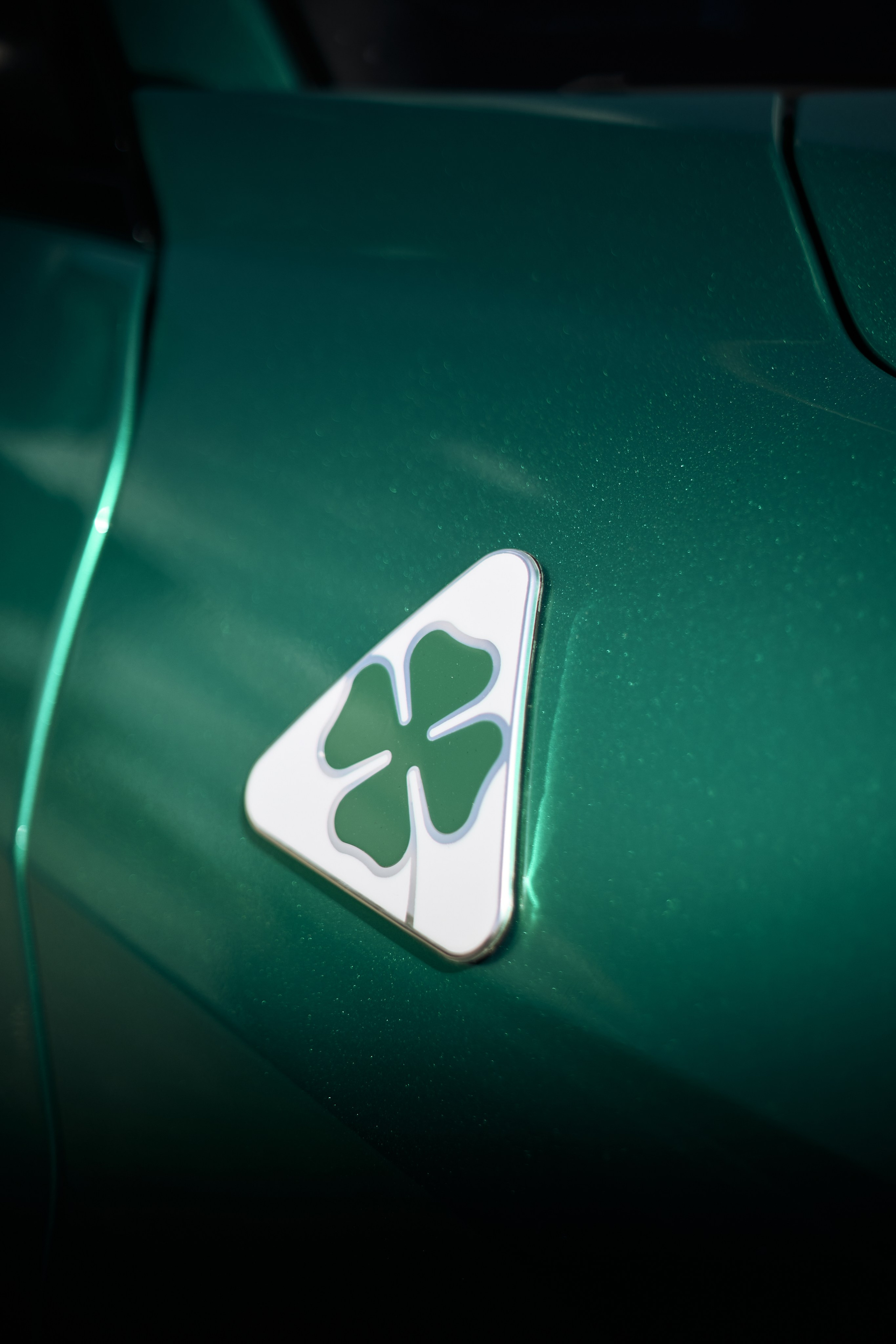 DNB 25. Фотограф Александр Рауш