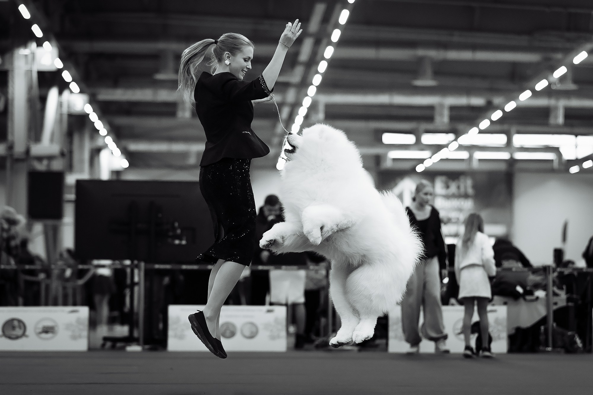 29-30.11.2025 — Казань «Зилант». Фотограф-анималист Саша Вязьмина