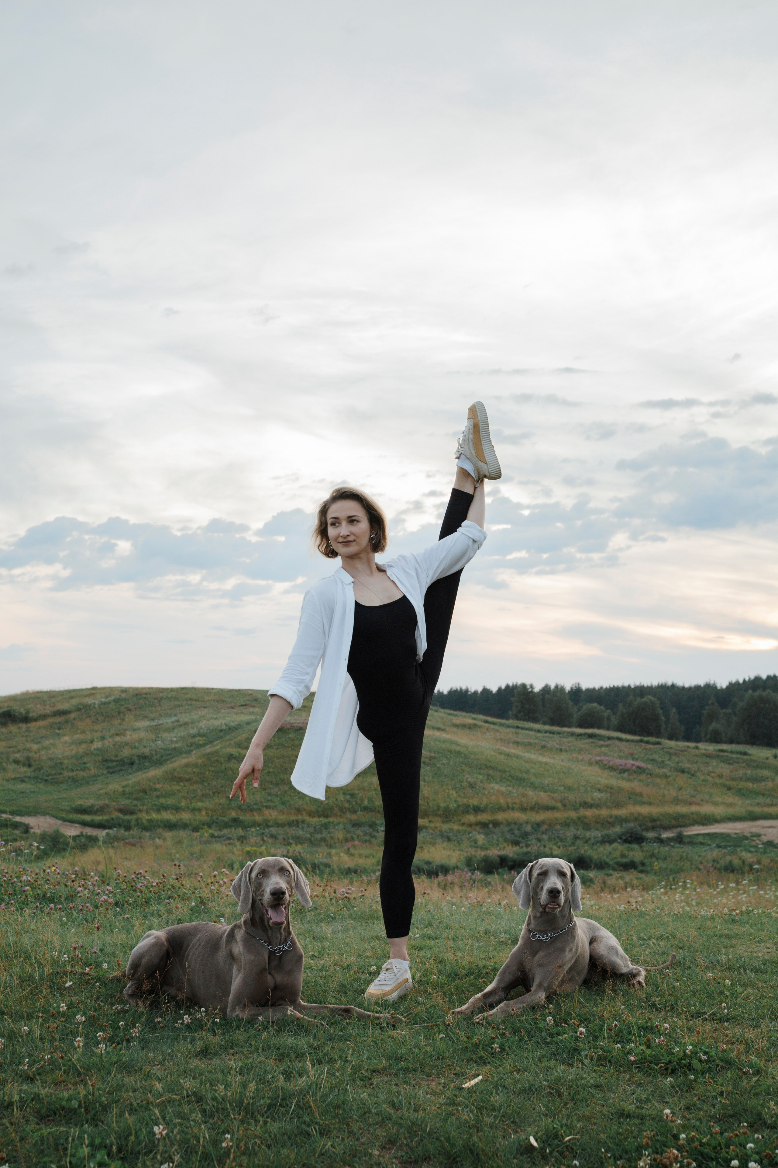 Маргарита и веймаранеры. Фотограф-анималист в Санкт-Петеребурге Титова Алиса