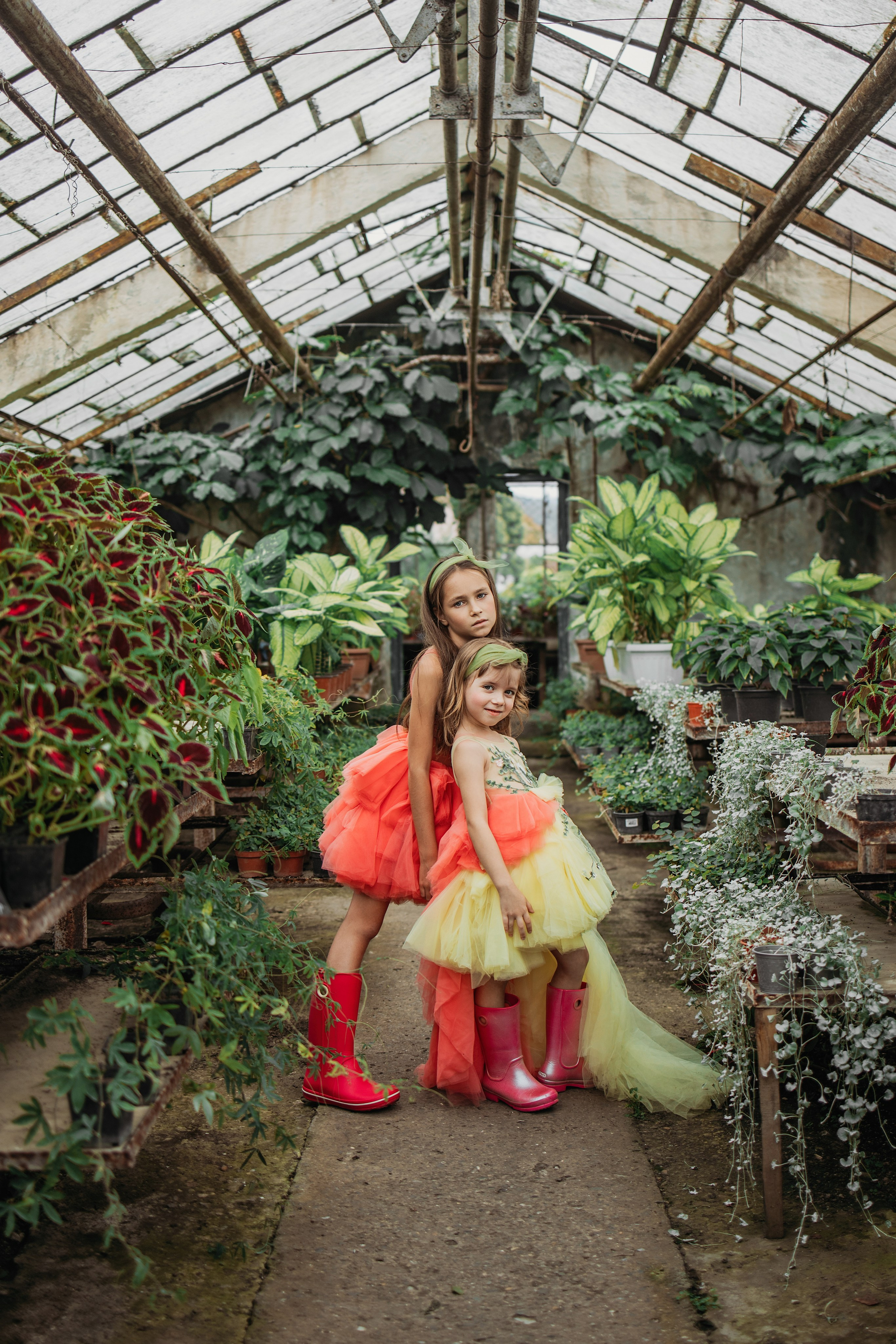 Теплица мацеста. Фотограф Сочи Татьяна Зорина