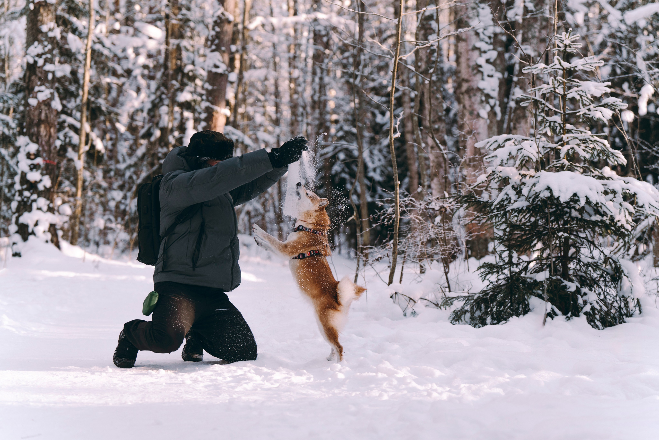 Каори, Анна и Антон. Фотограф анималист в Спб недорого Олеся Майорова