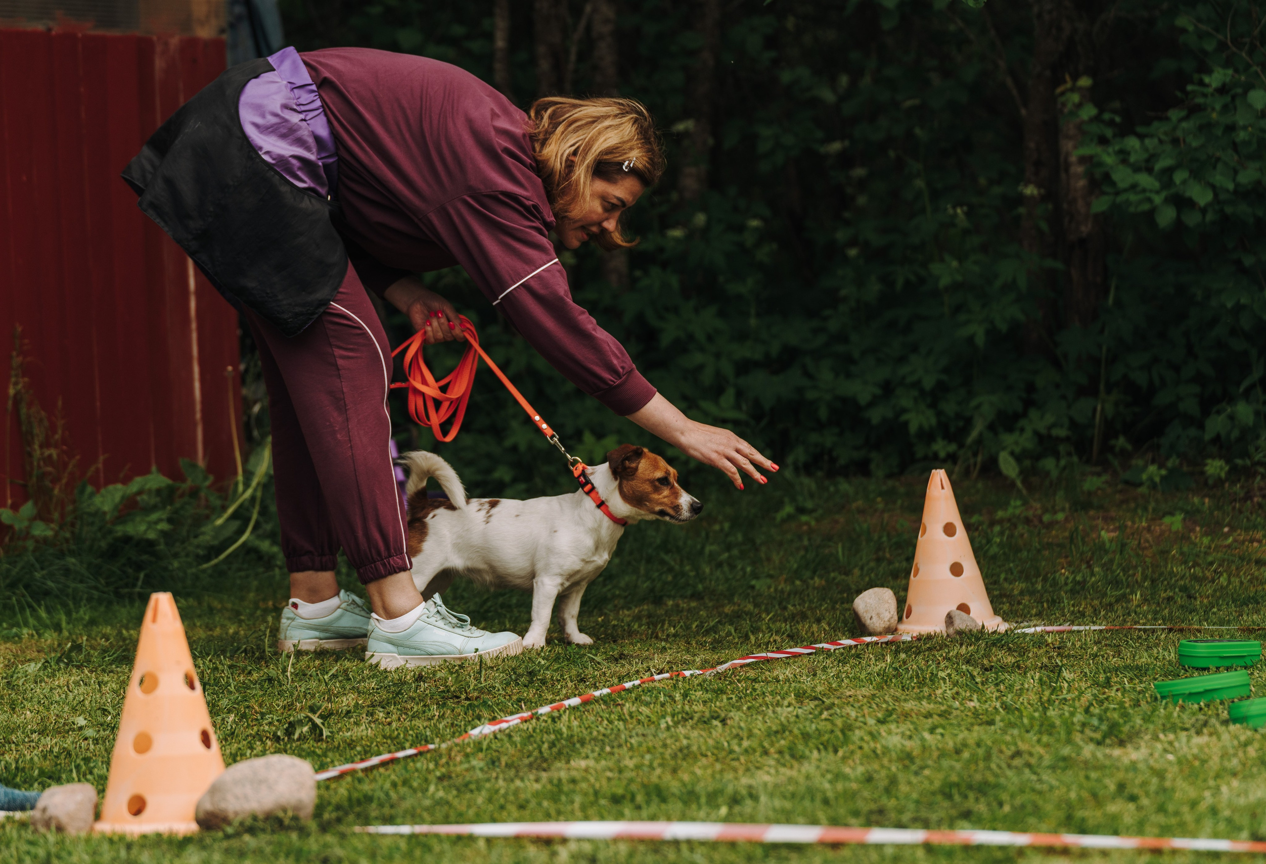 Соревнования по ноузворку. Фотограф анималист в Спб недорого Олеся Майорова
