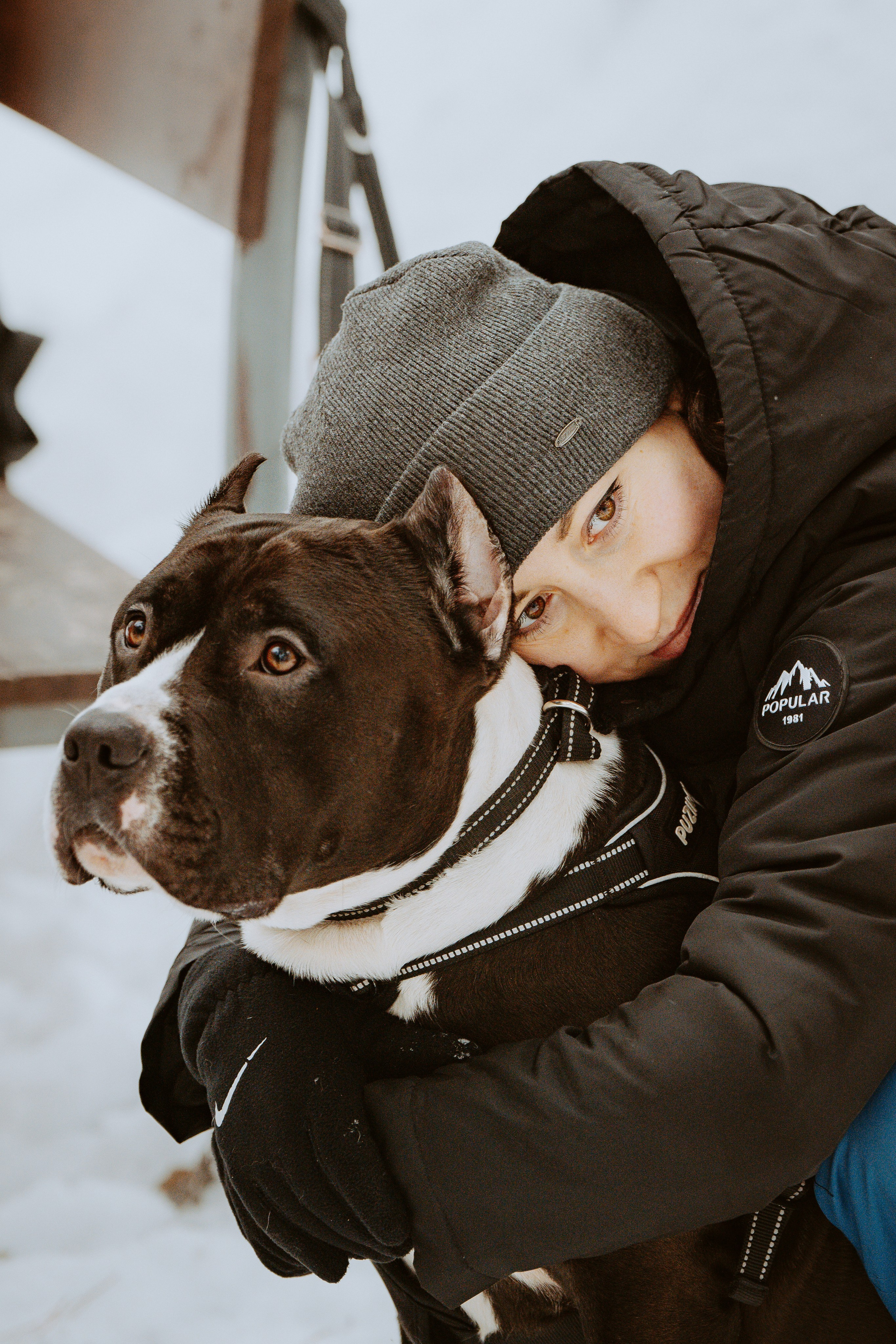 Дог трекинг. Фотограф анималист в Спб недорого Олеся Майорова