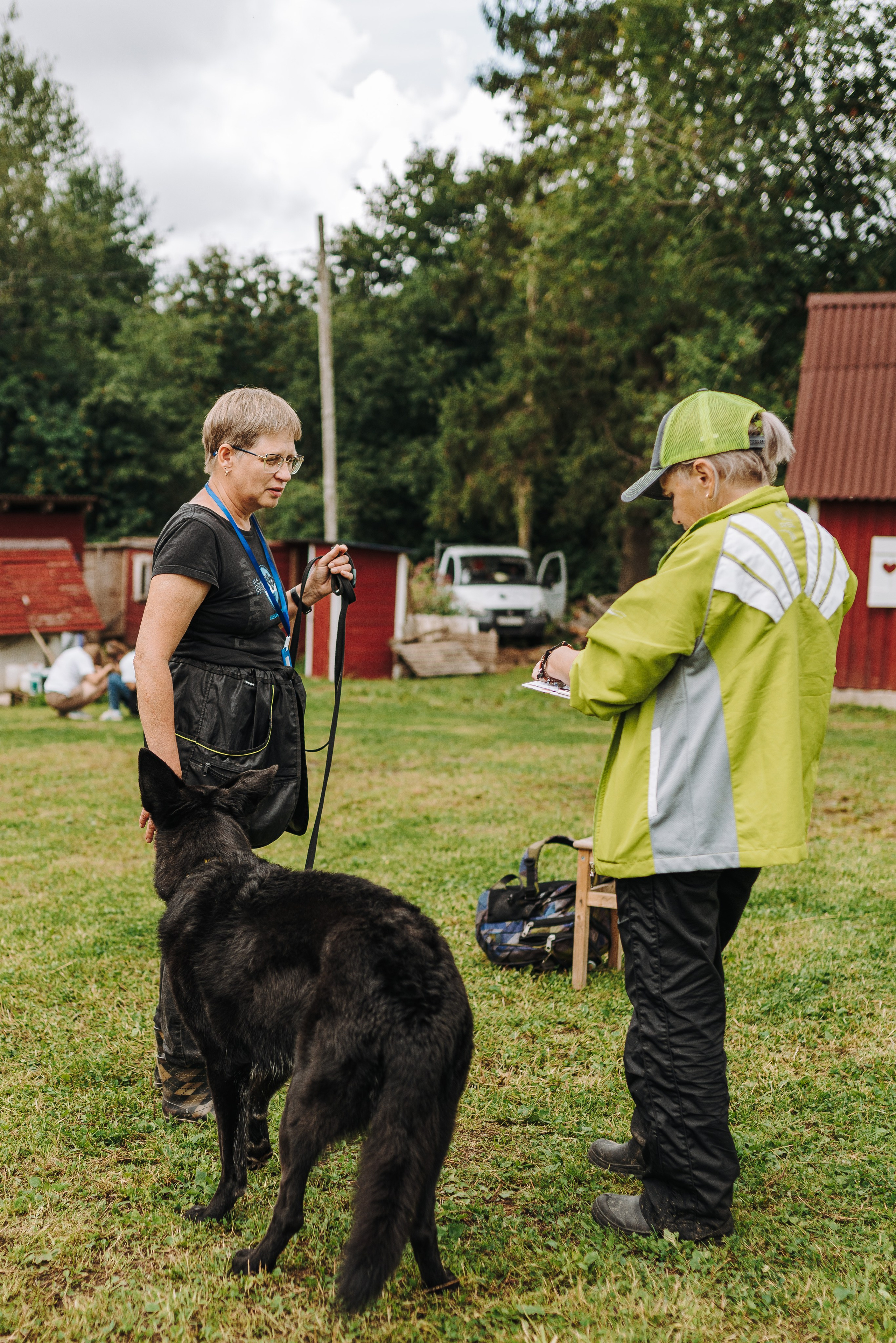 Соревнования по ноузворку в Новожилово. Фотограф анималист в Спб недорого Олеся Майорова