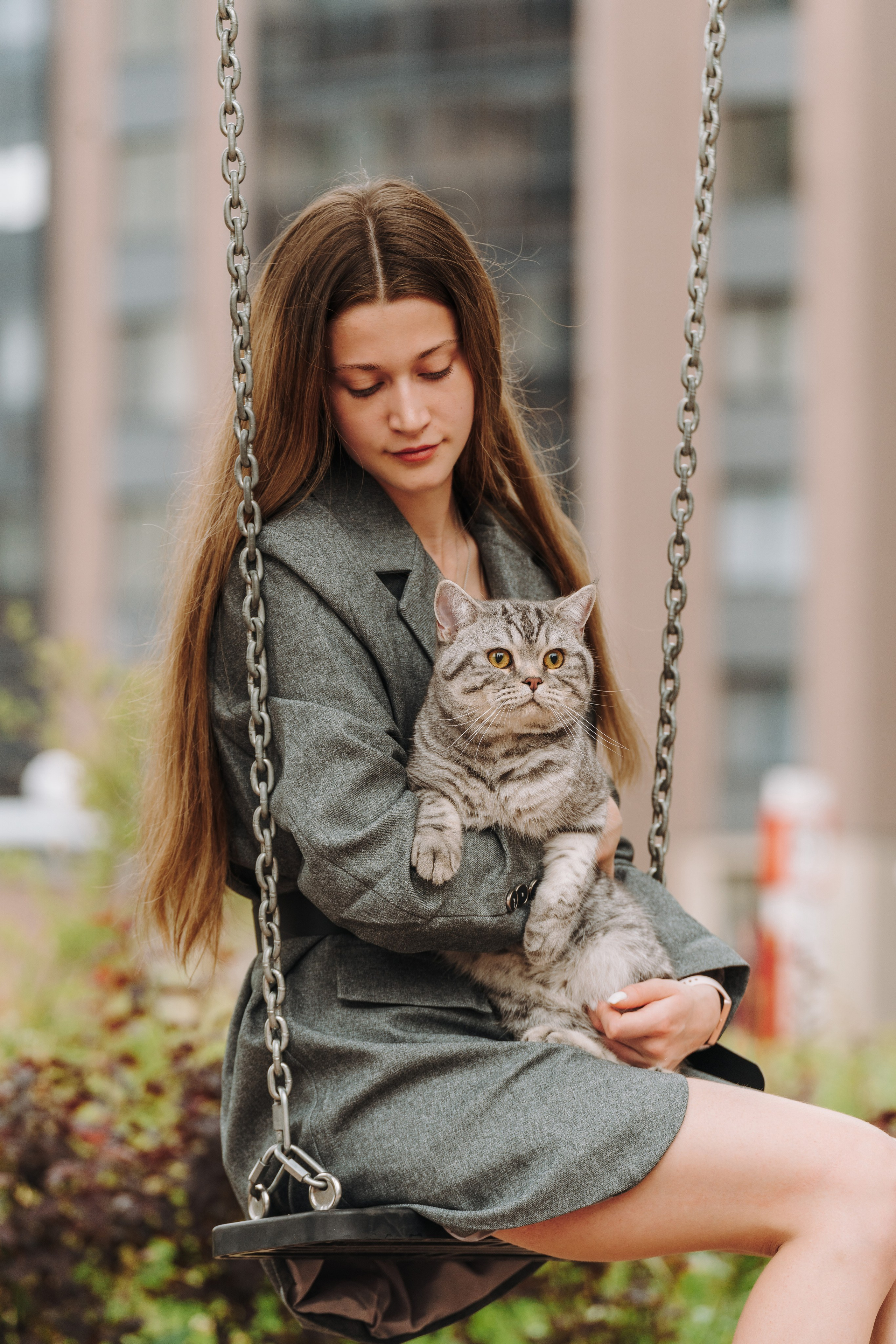 Портфолио кошки, фотограф Олеся Майрова. Фотограф анималист в Спб недорого Олеся Майорова