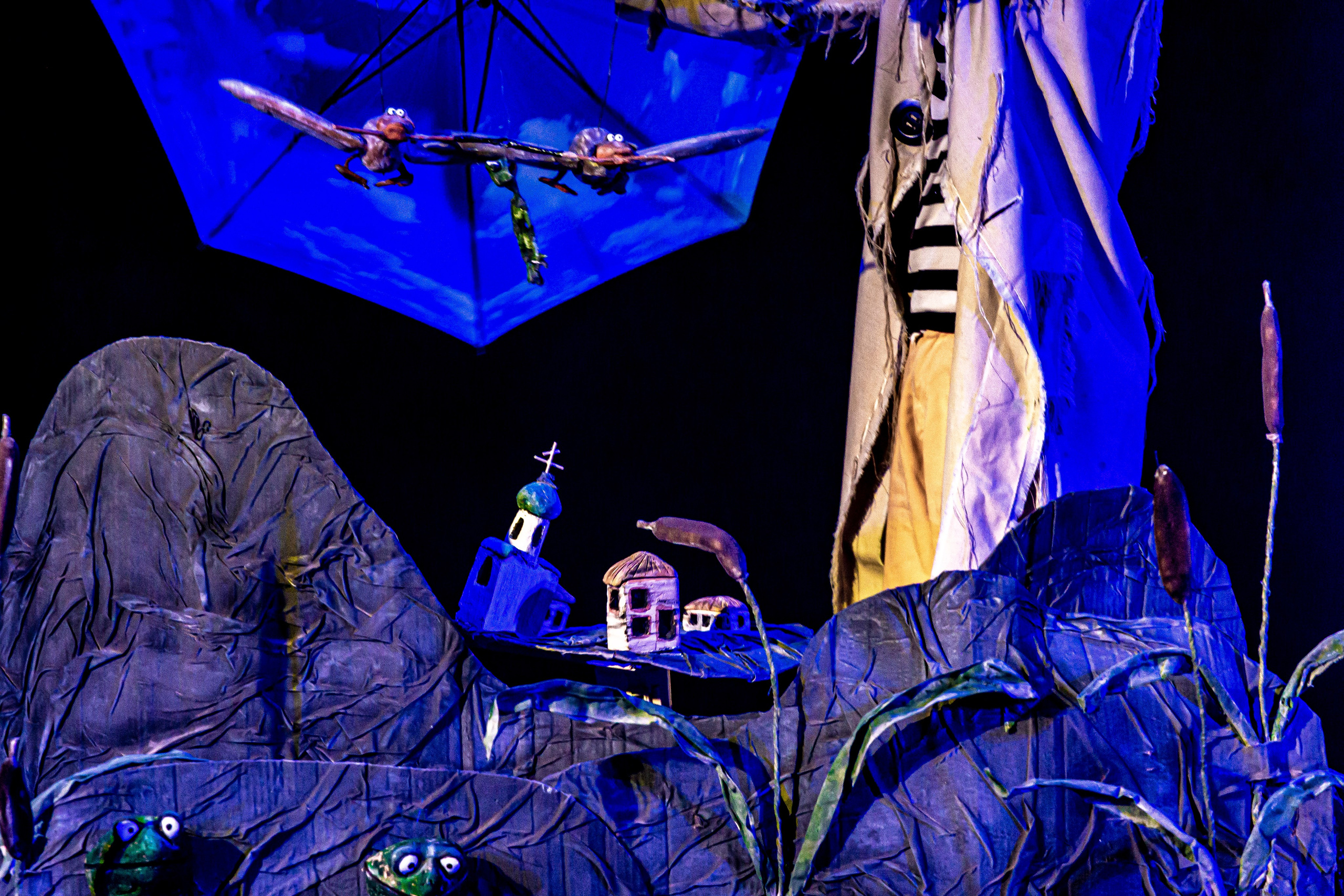 Спектакль театра Саквояж Лягушка путешествиница. Фотограф в Сочи Юрий Шептаев