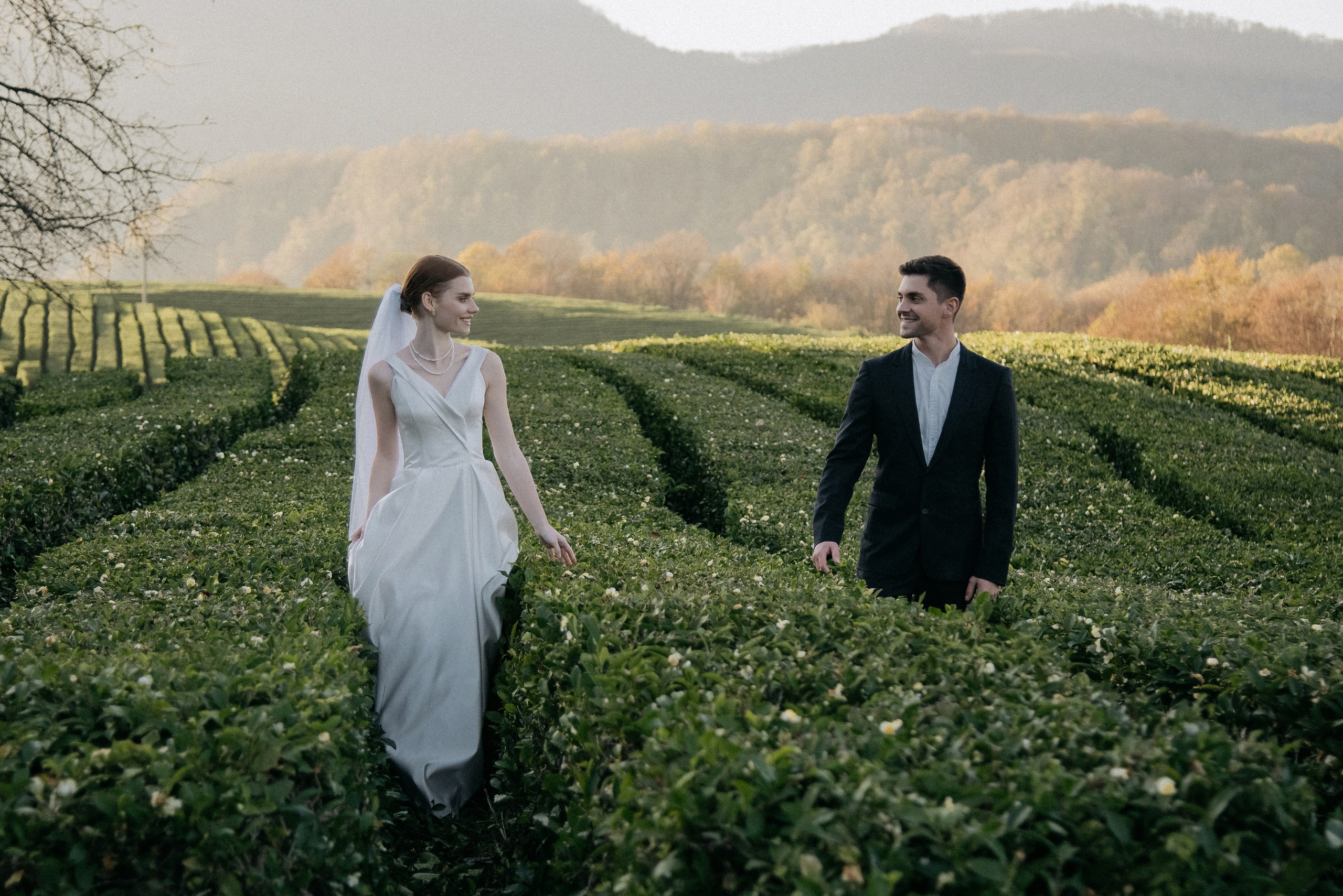 Чайные плантации Сочи. Свадебный и семейный фотограф Темрюк Алёна Ковальская