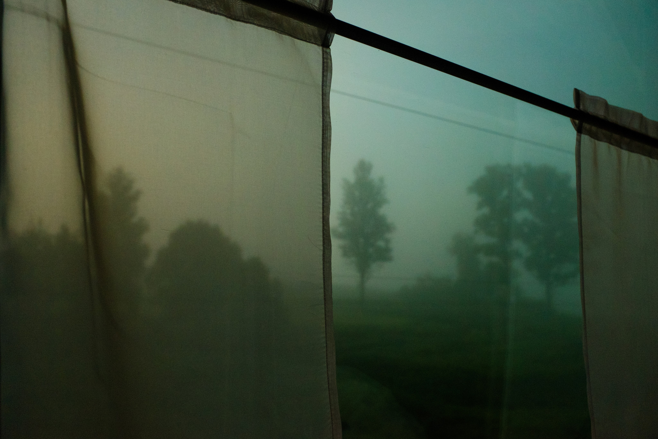 Singles 2. Alyona Kochetkova | Photographer and photography educator