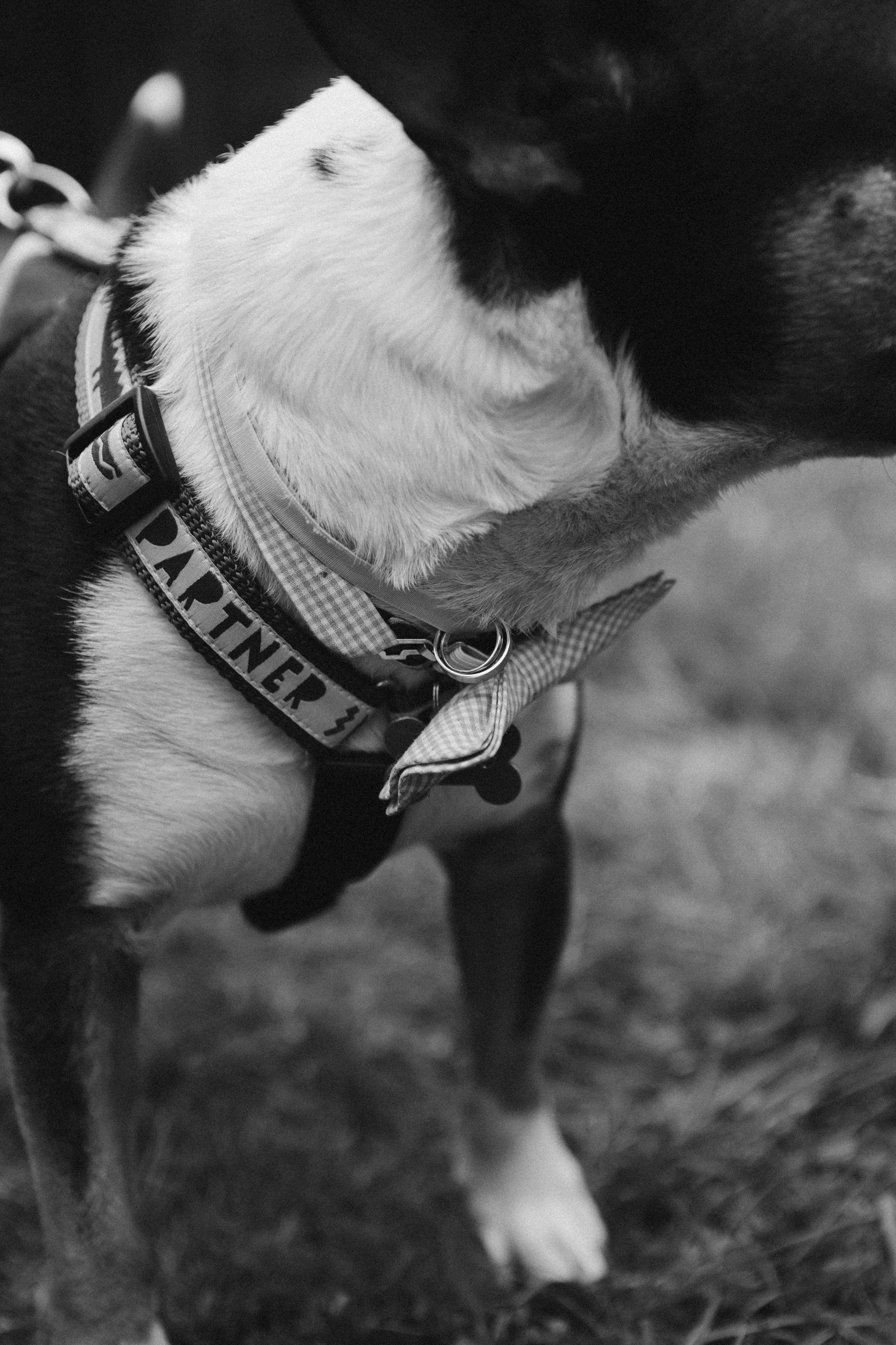 Аня и Сева. Эстетичный свадебный репортаж в любом городе страны