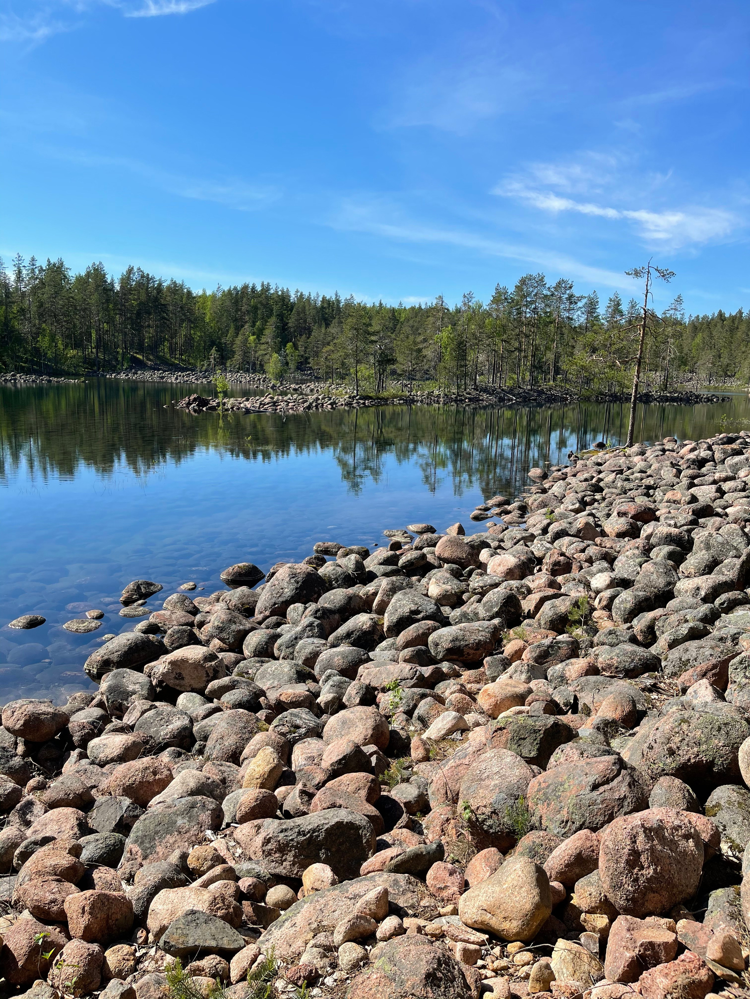 ЛадогаТрофи — 21. Своя Мастерская