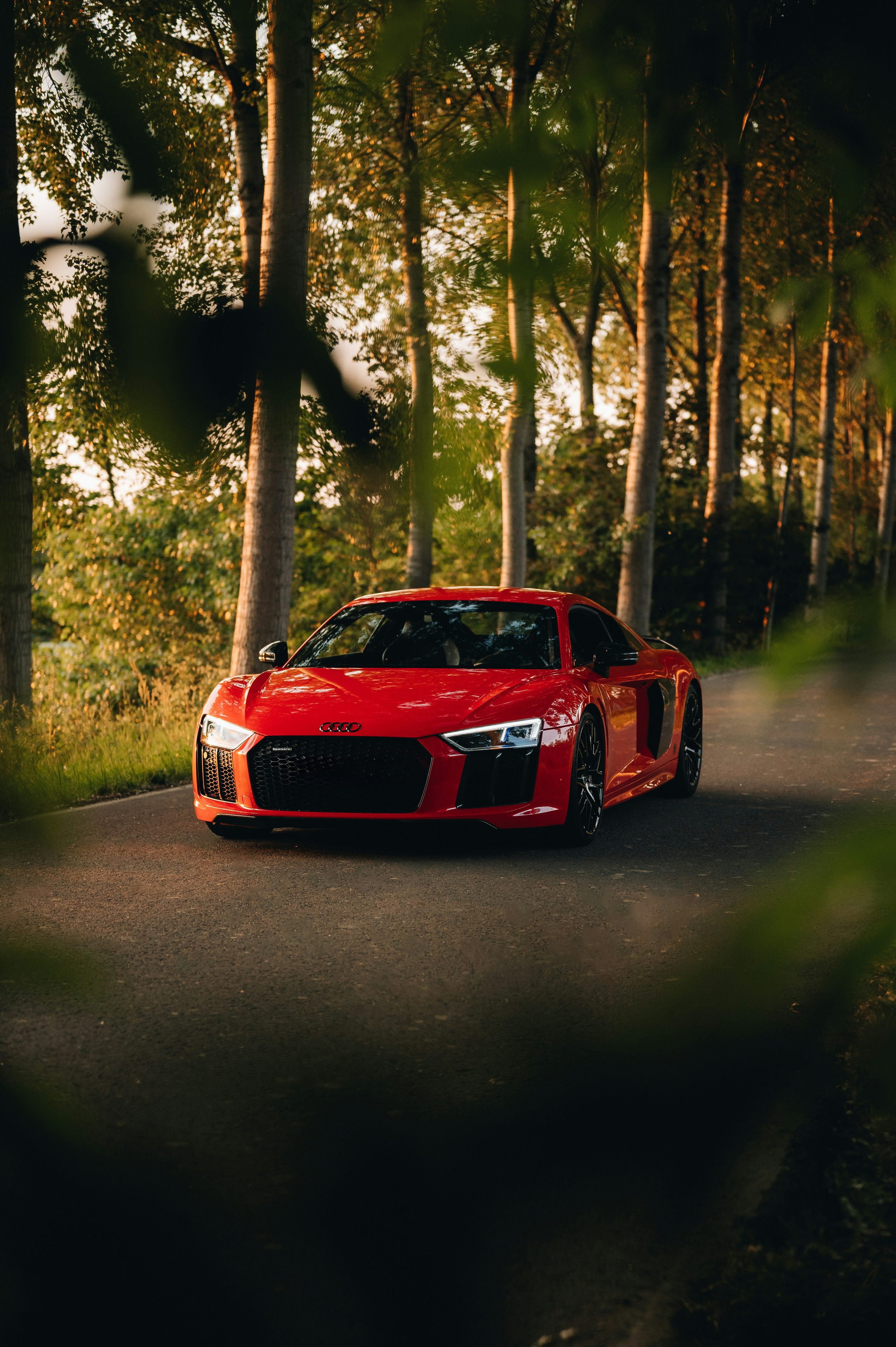 CARS. Видеограф и Фотограф в Москве