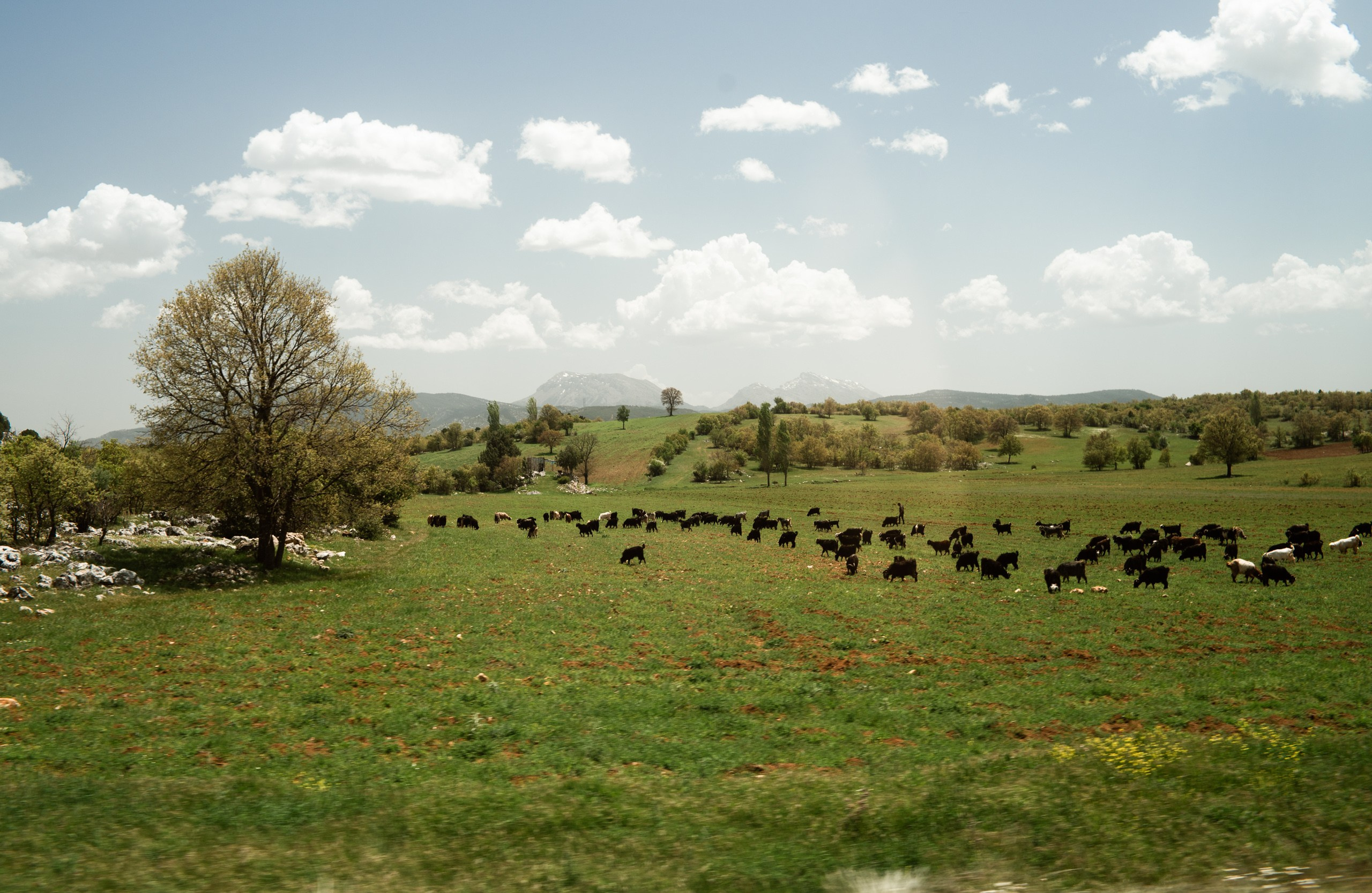 Турция. Фотограф Сергей Красильников