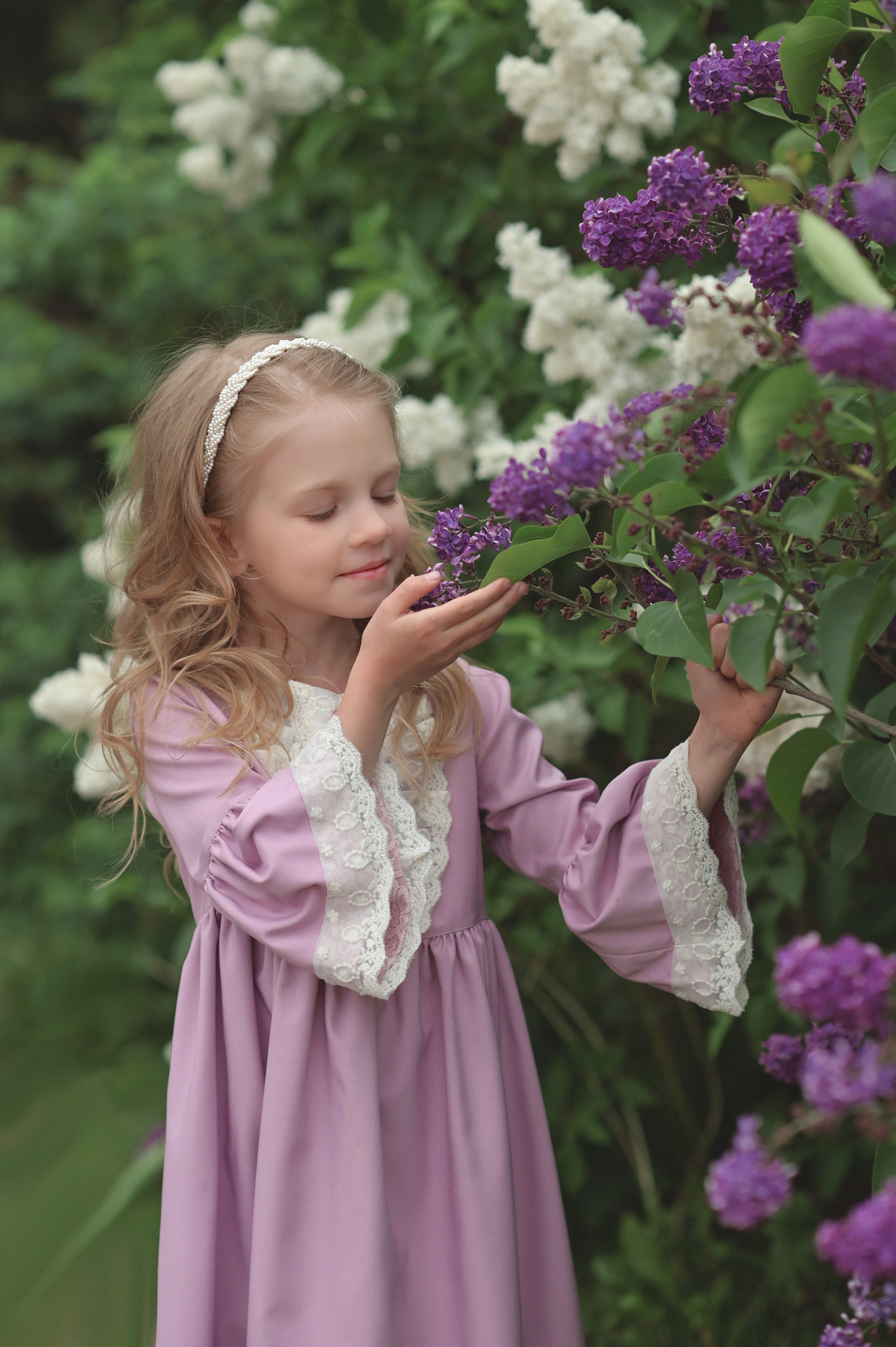 Сирень. Фотограф Альбина Вакунова