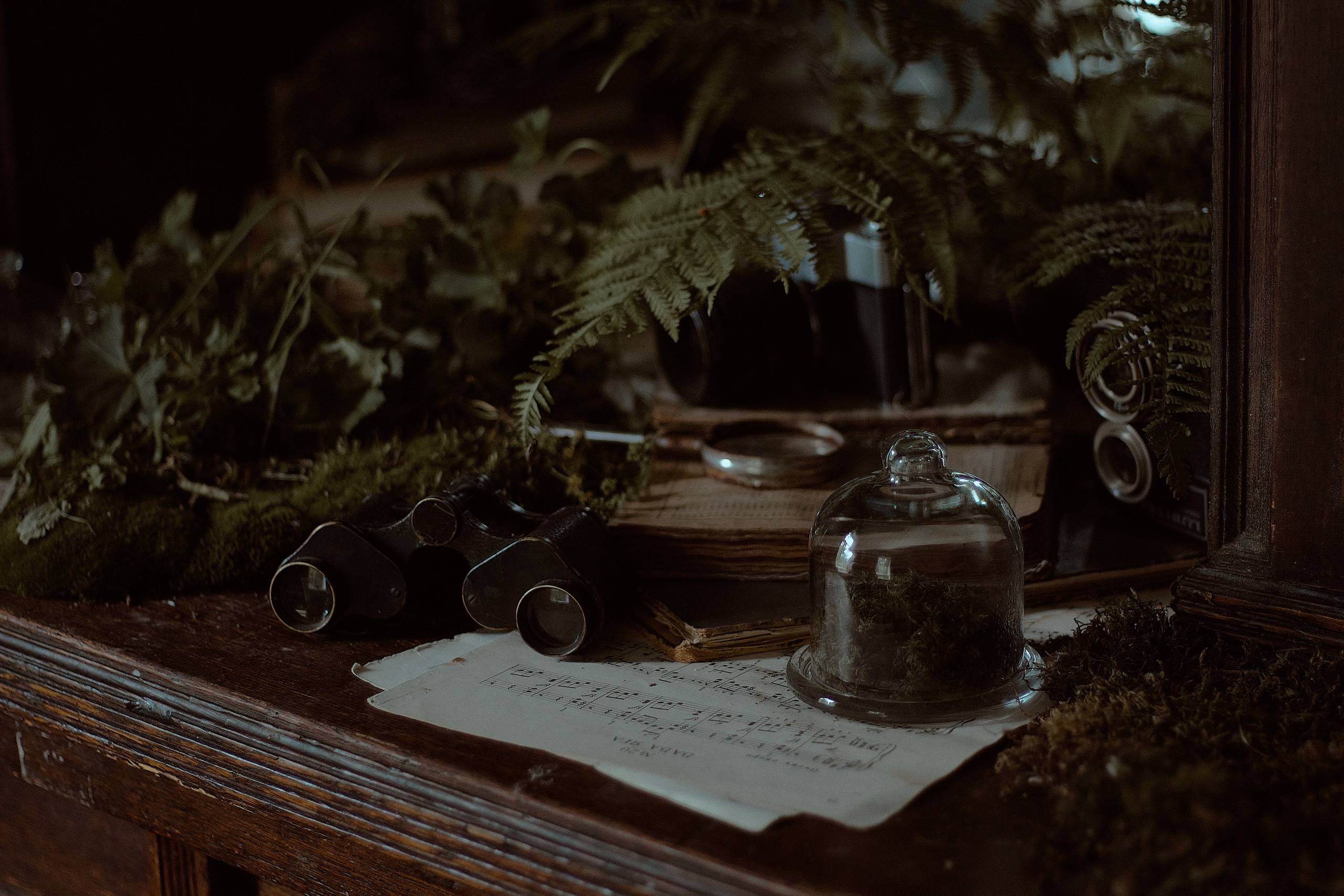 Люпин. Фотограф лавстори Москва/МО Приятелева Ангелина