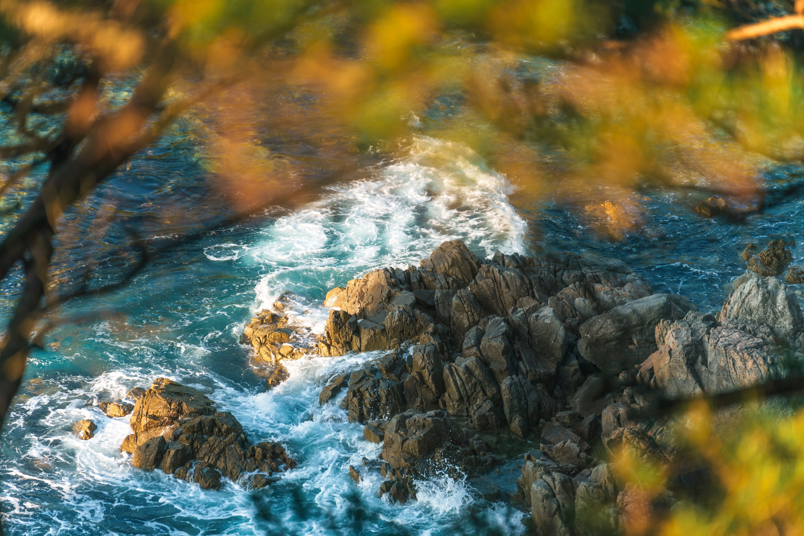 Весеннее Приморье. Май