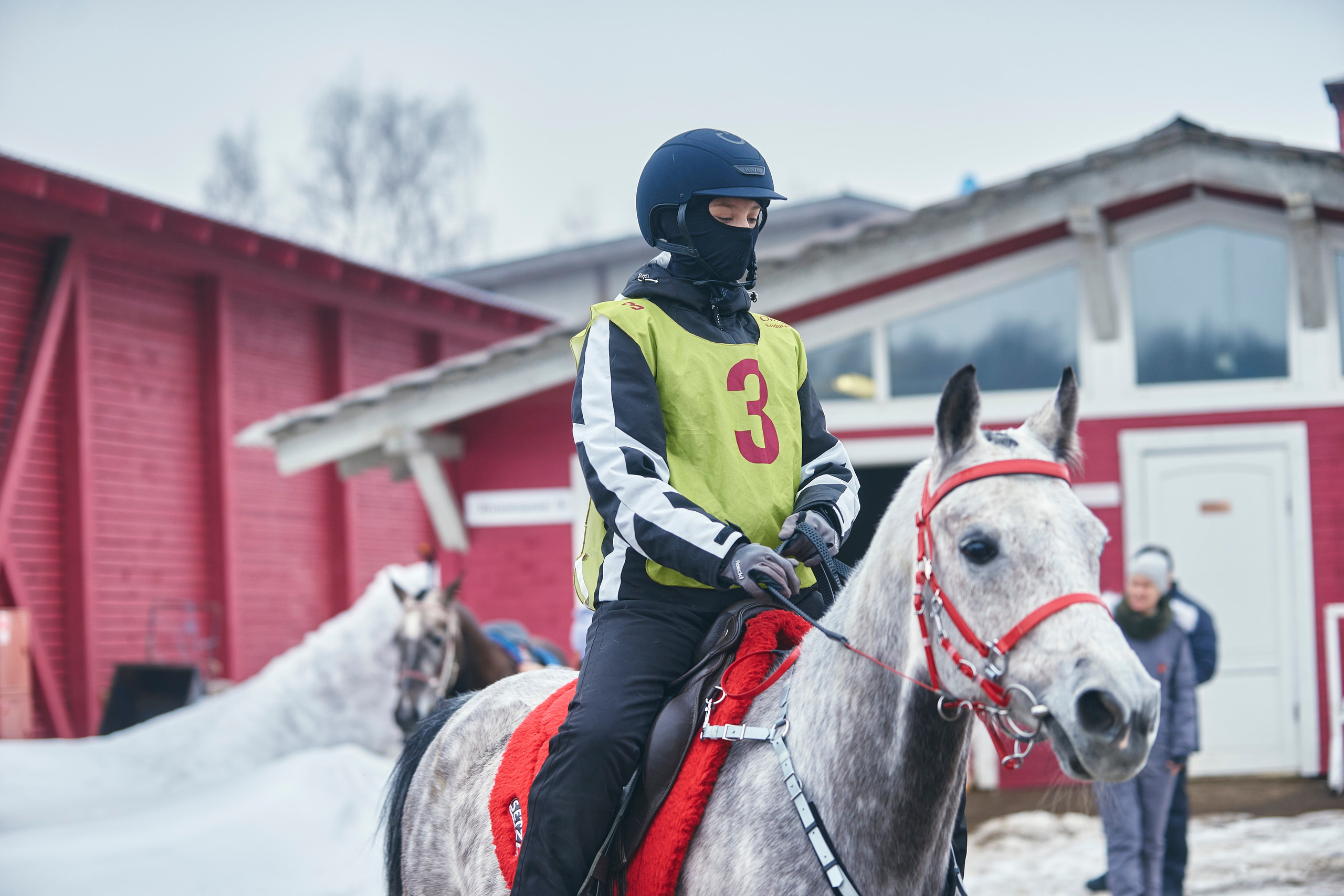 HORSE RACING. Фотограф Наталья Леонова