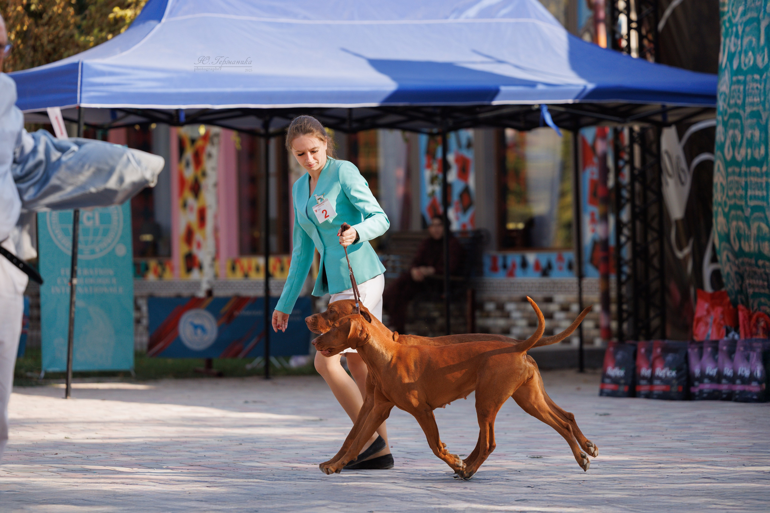 Ташкент 3хCACIB 3-5.10.2025. Фотограф-анималист Юлия Германика