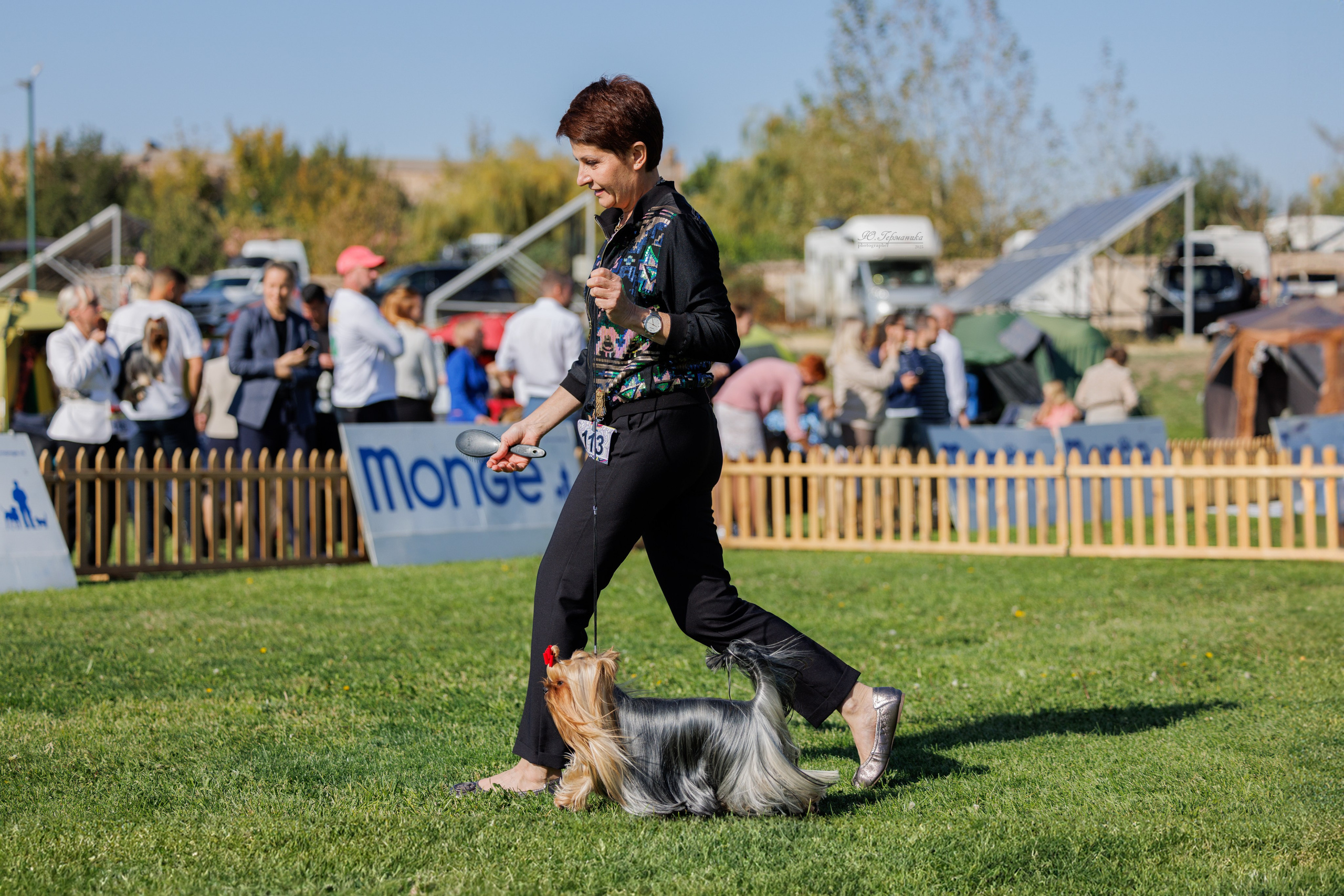 Ереван 14-16.10.2025. Фотограф-анималист Юлия Германика