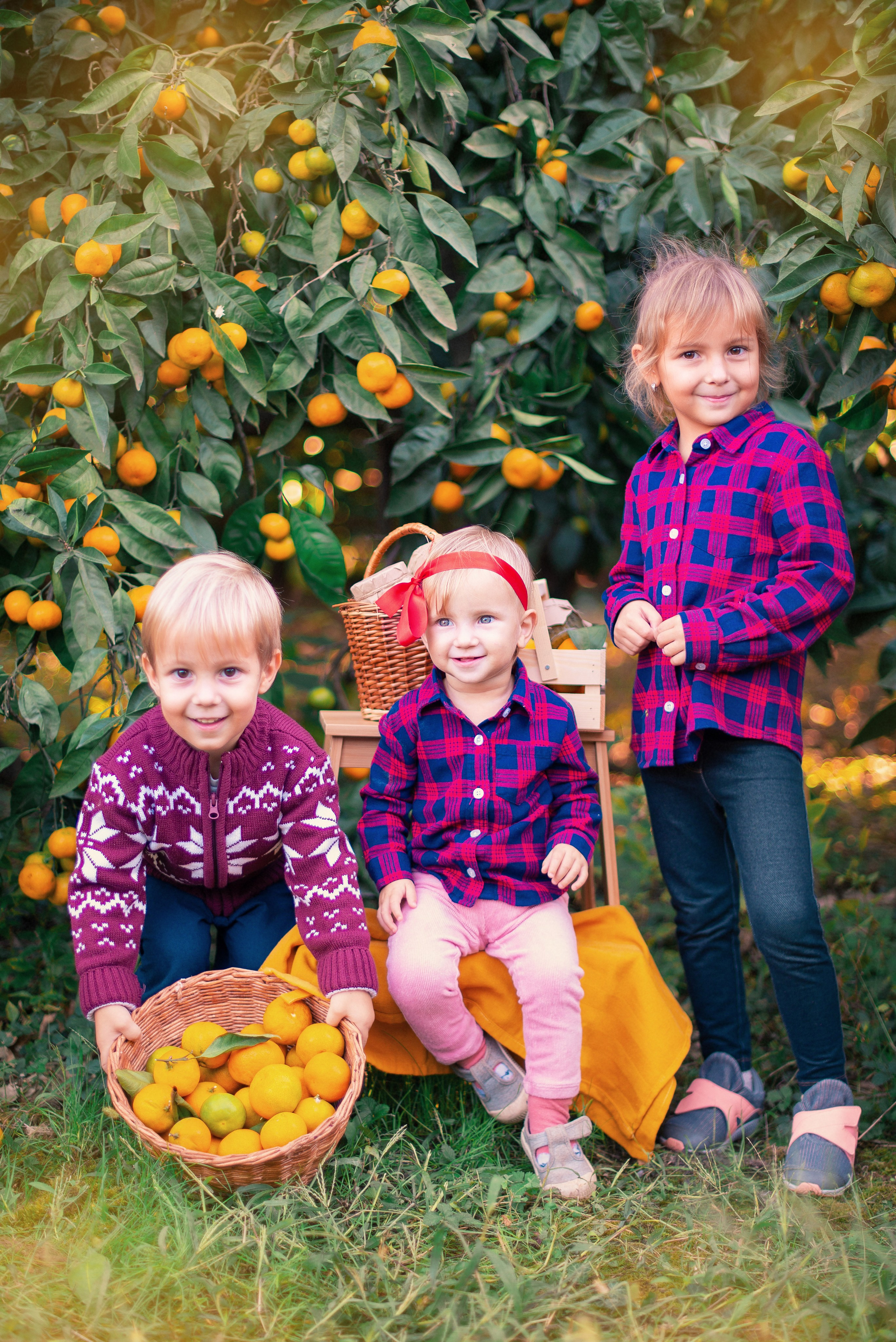 Мандарины. Детский и семейный фотограф в Абхазии