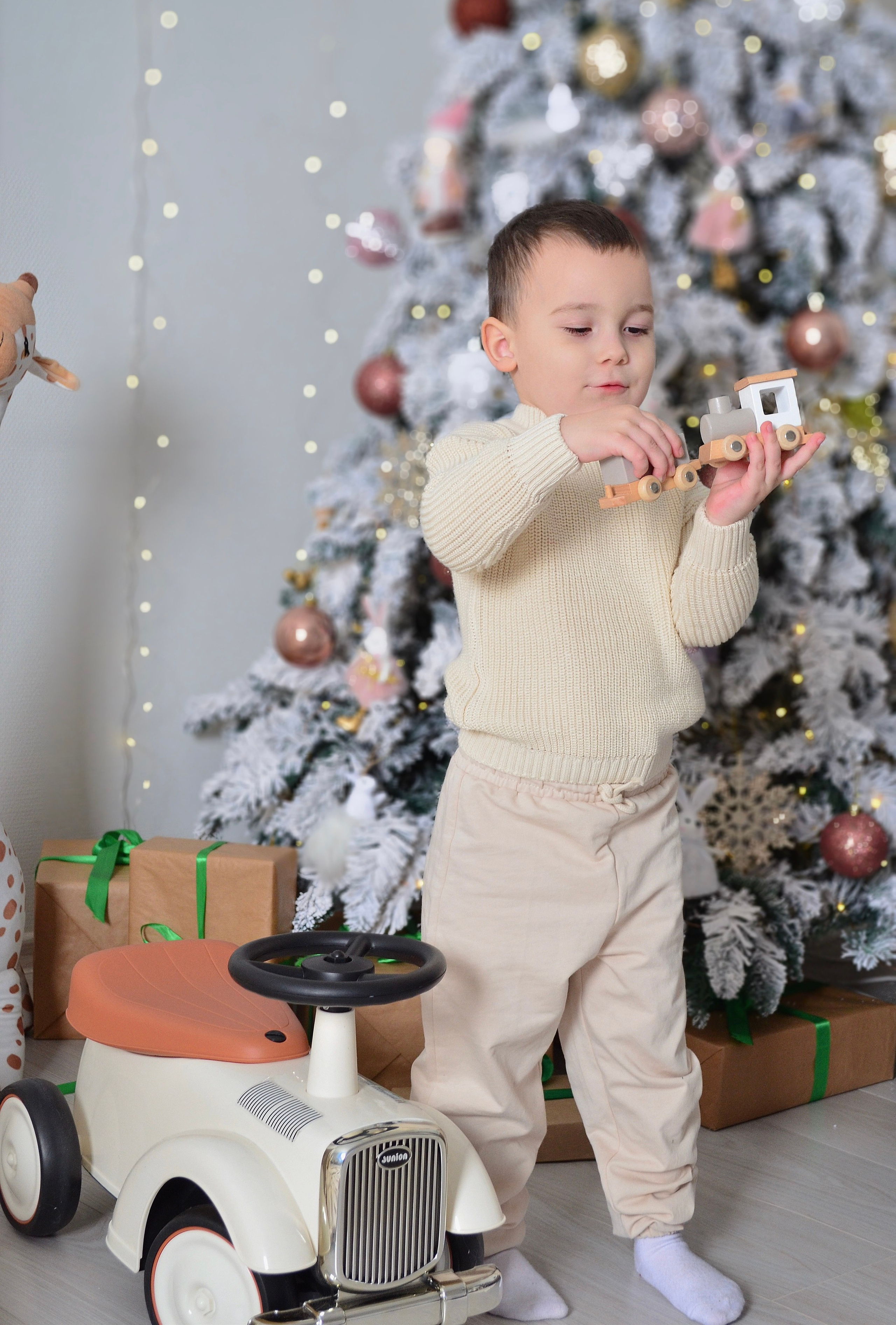 Новогодние. Фотограф в Москве и МО