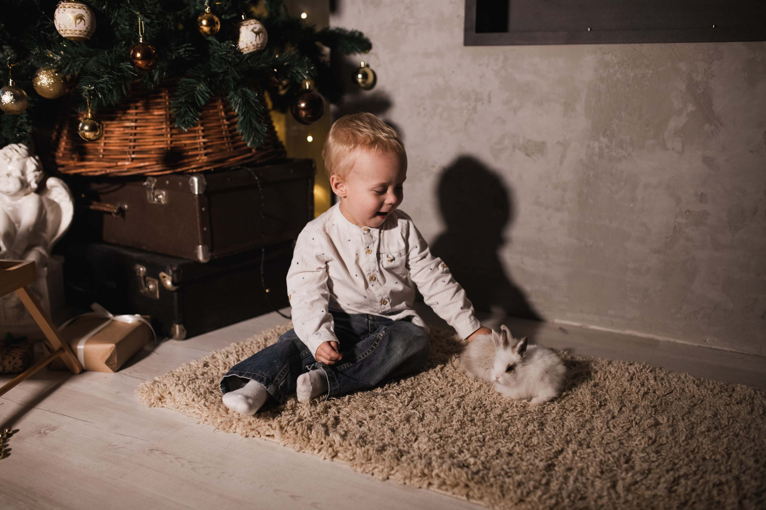 Новогодние фотосессии. Семейный фотограф Елена Клименко (Sunlight)