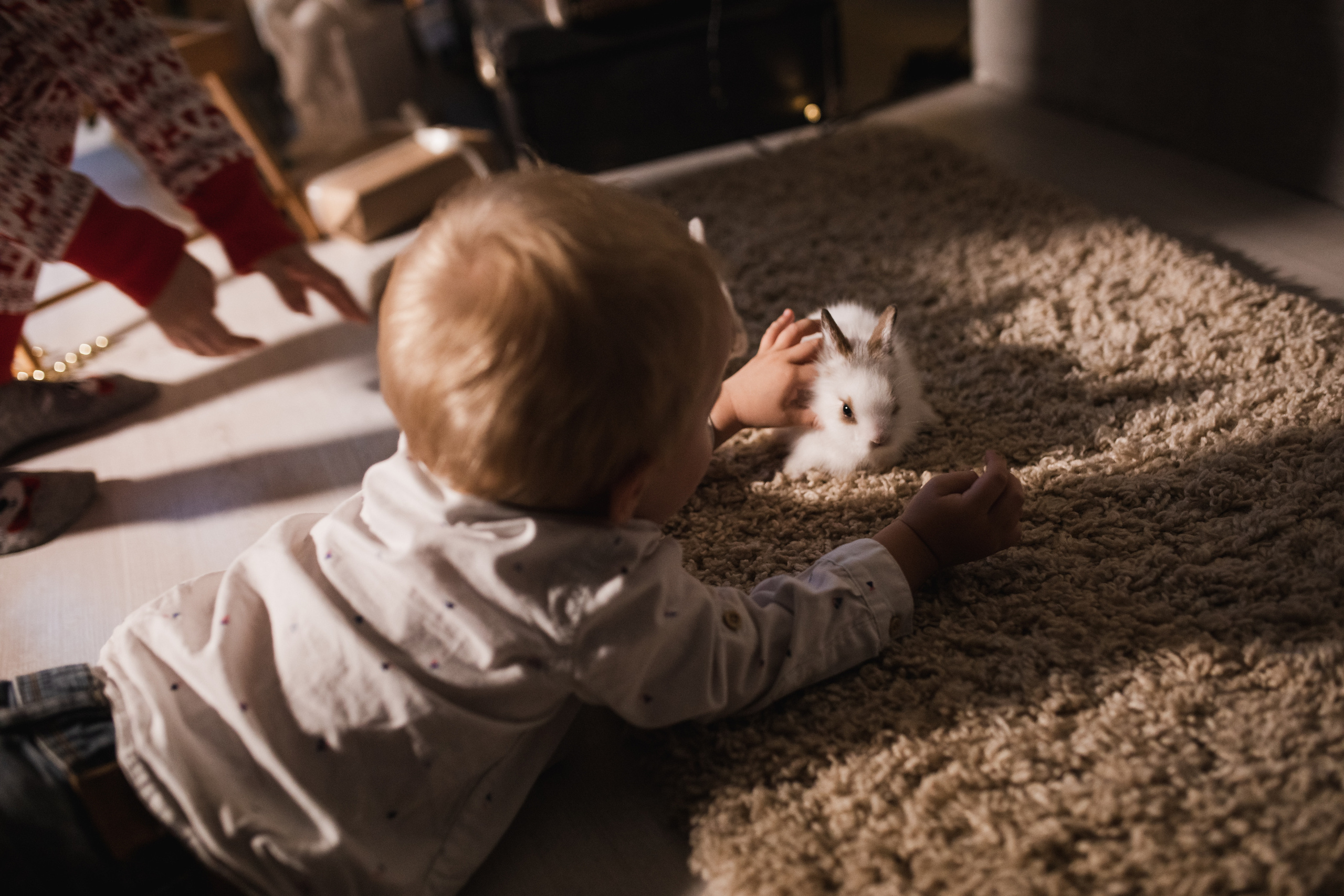 Новогодние фотосессии. Семейный фотограф Елена Клименко (Sunlight)