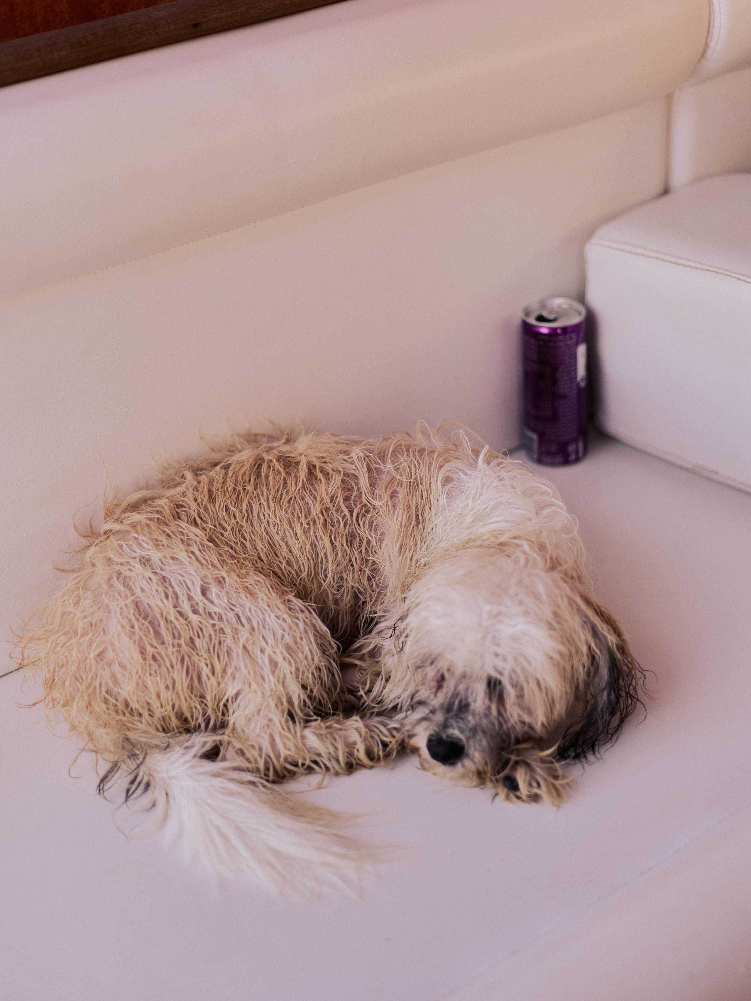 Другое 3. Jorgis Talè — photographer, kind person, teacher of arts and other mag