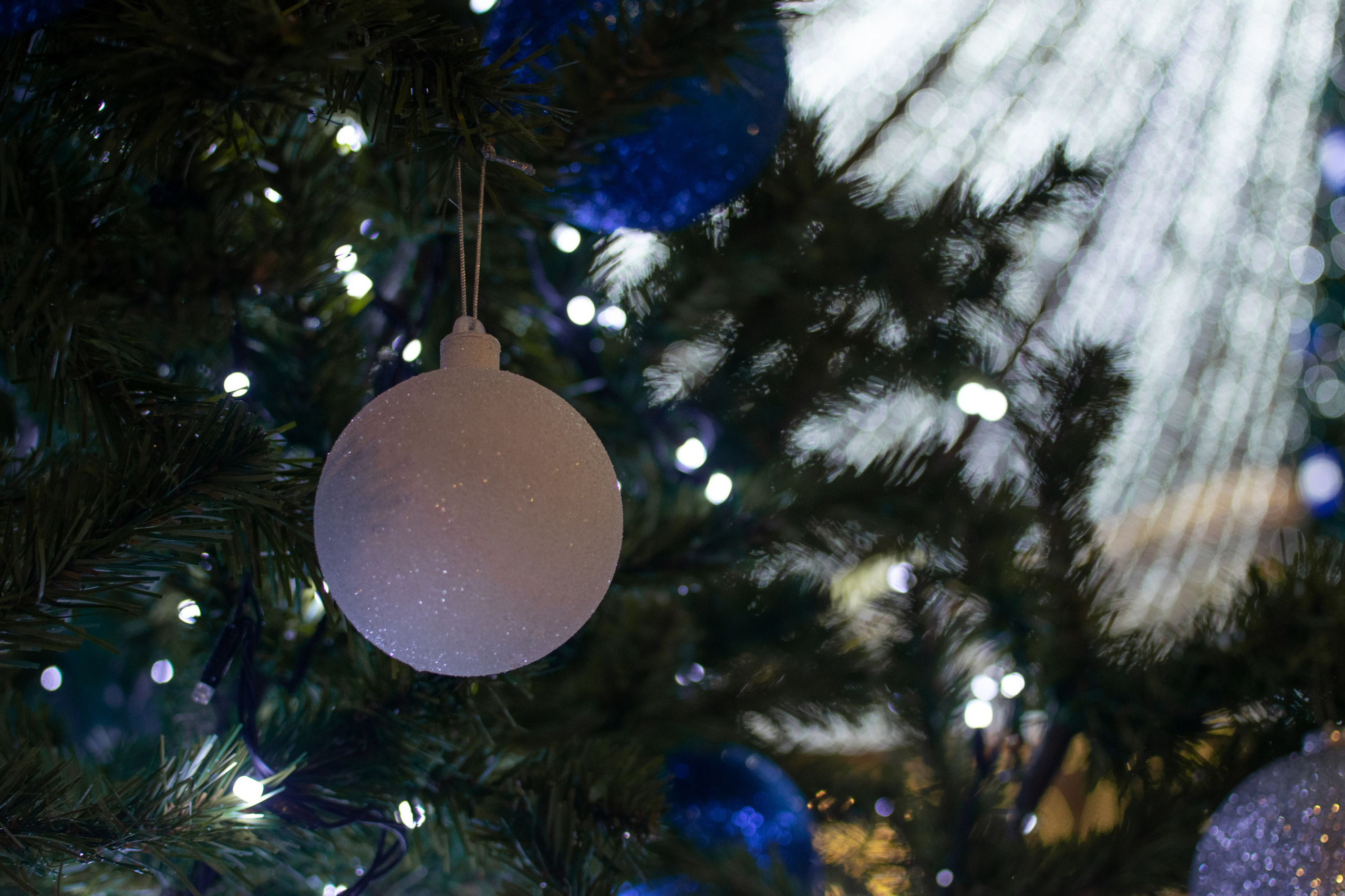 Итоги 2024. Саватейкин Ярослав | Портретный фотограф в Москве