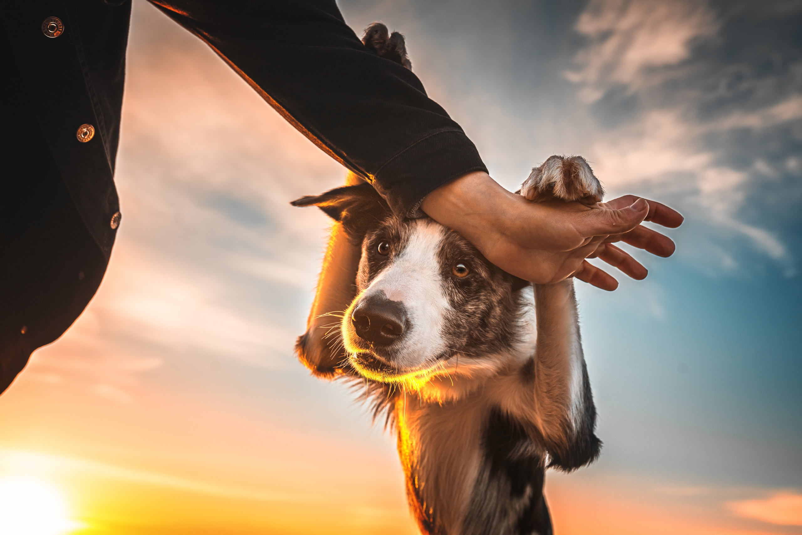 Фотограф анималист Осипчикова Мария