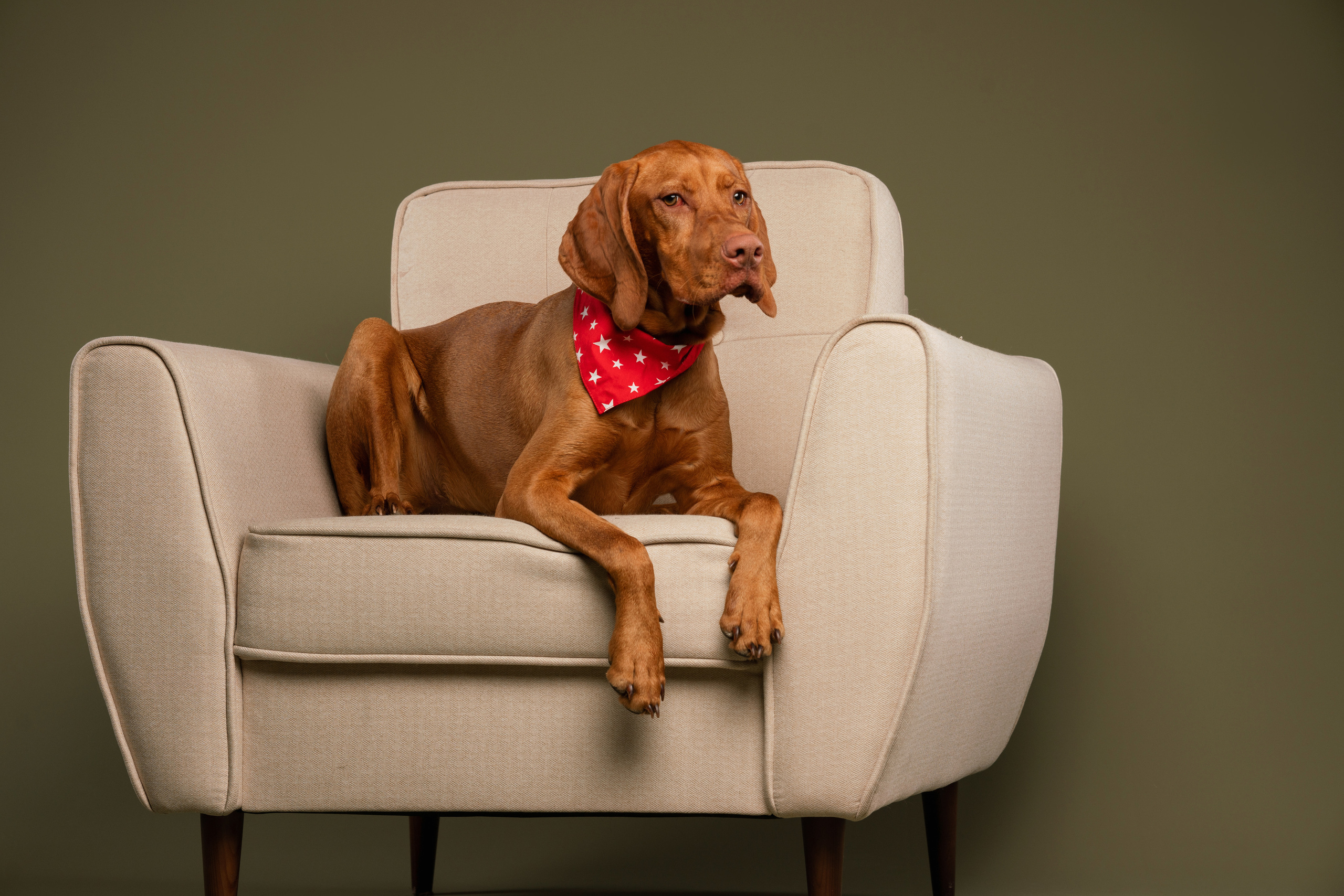 Лиза и Флора. Фотограф анималист Осипчикова Мария