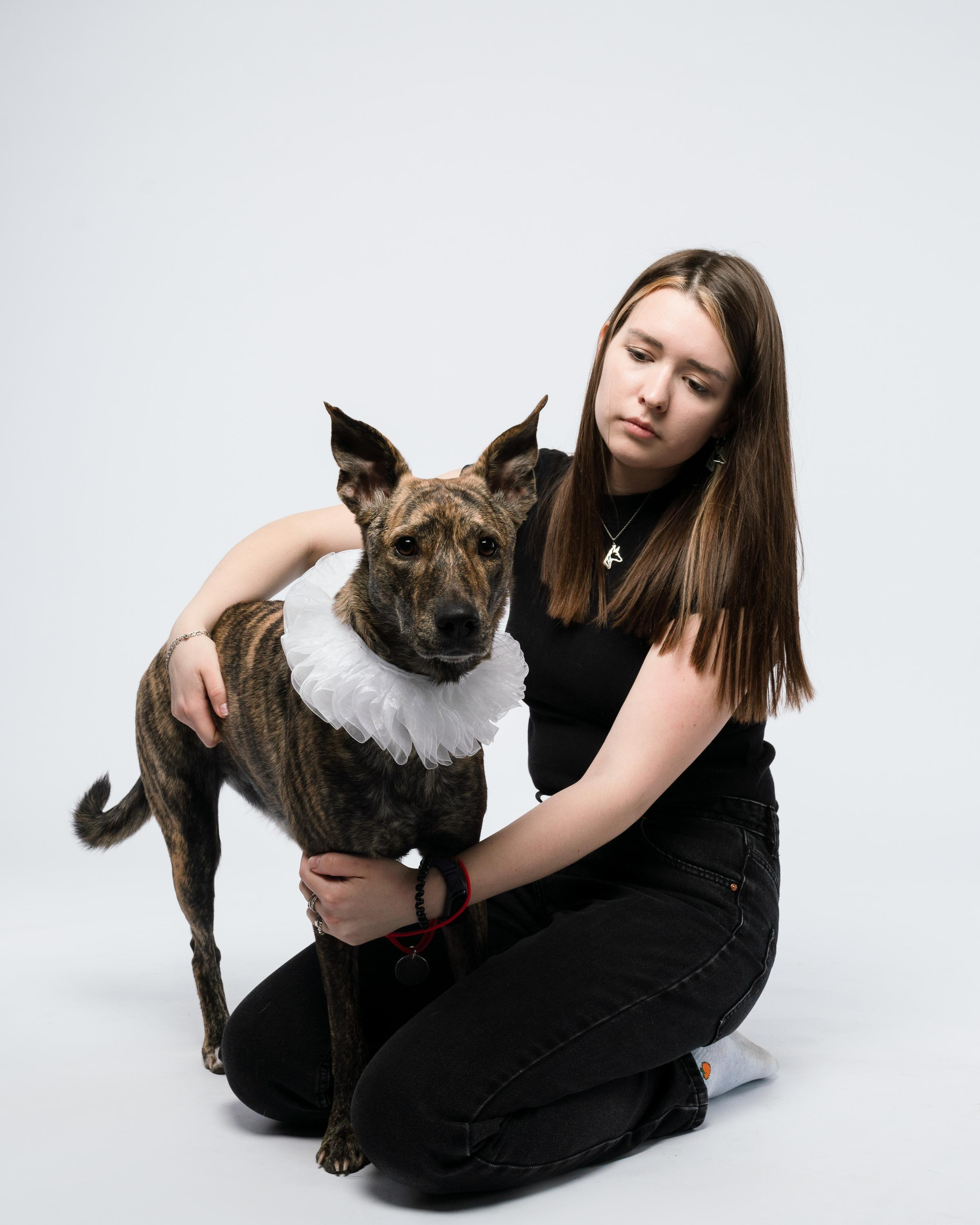 Альма, Вула и Даша. Фотограф анималист Осипчикова Мария