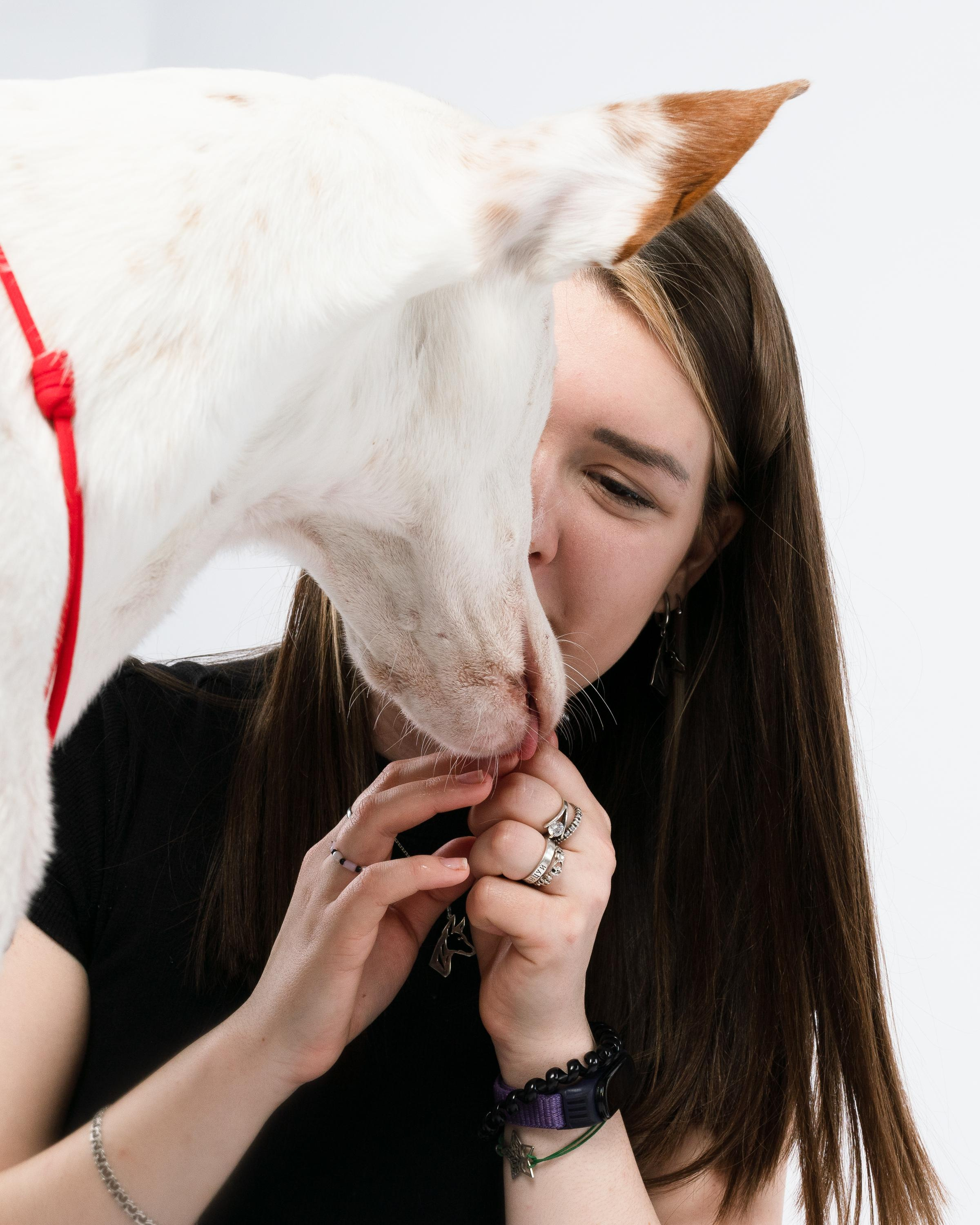 Альма, Вула и Даша. Фотограф анималист Осипчикова Мария