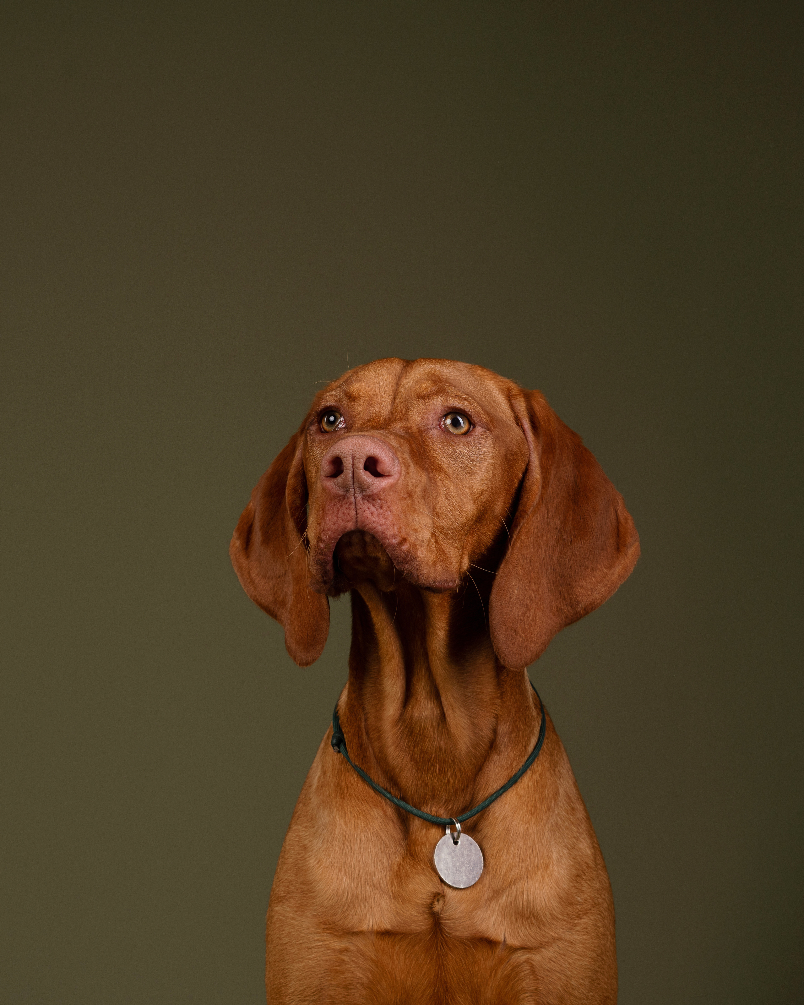 Лиза и Флора. Фотограф анималист Осипчикова Мария