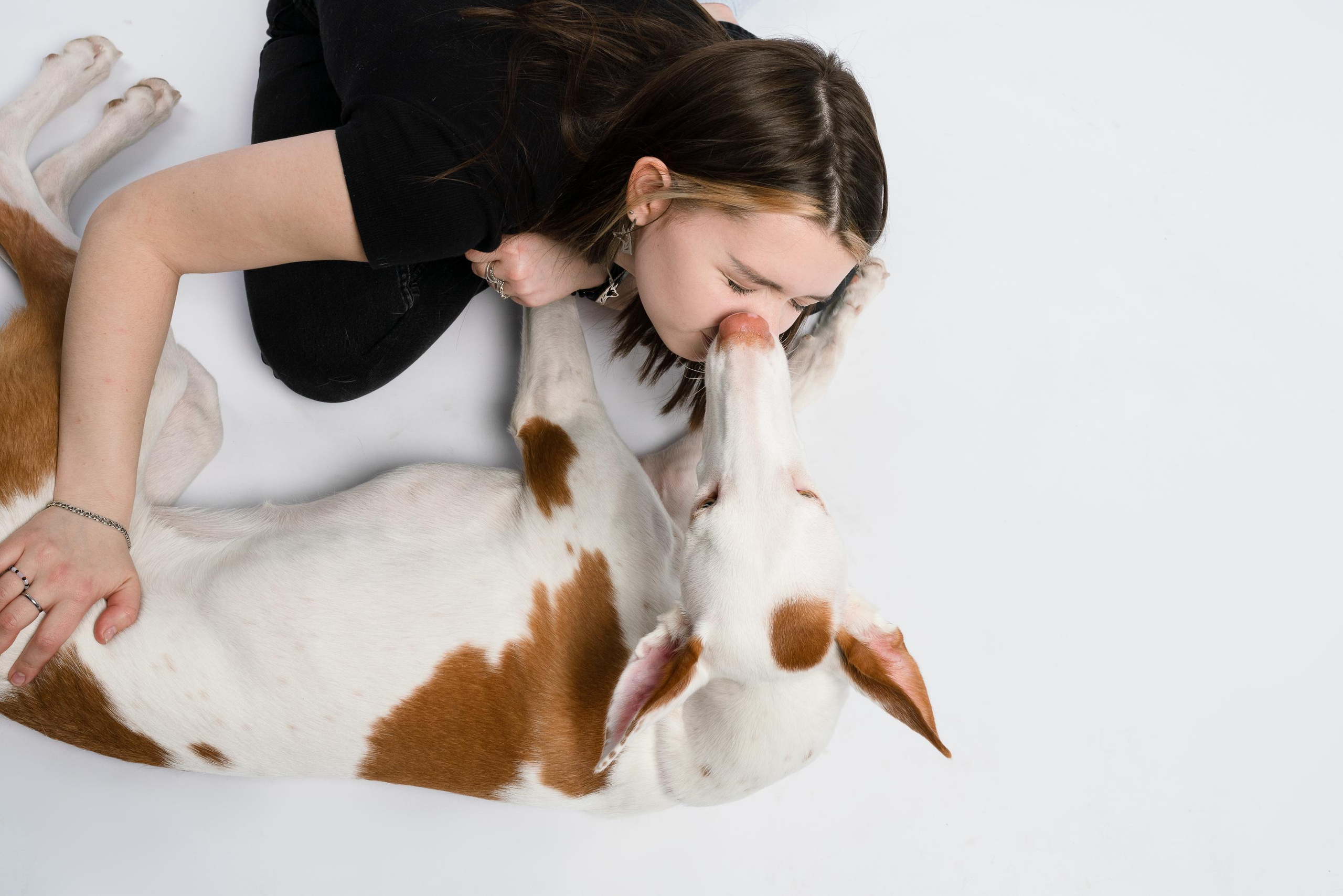 Альма, Вула и Даша. Фотограф анималист Осипчикова Мария