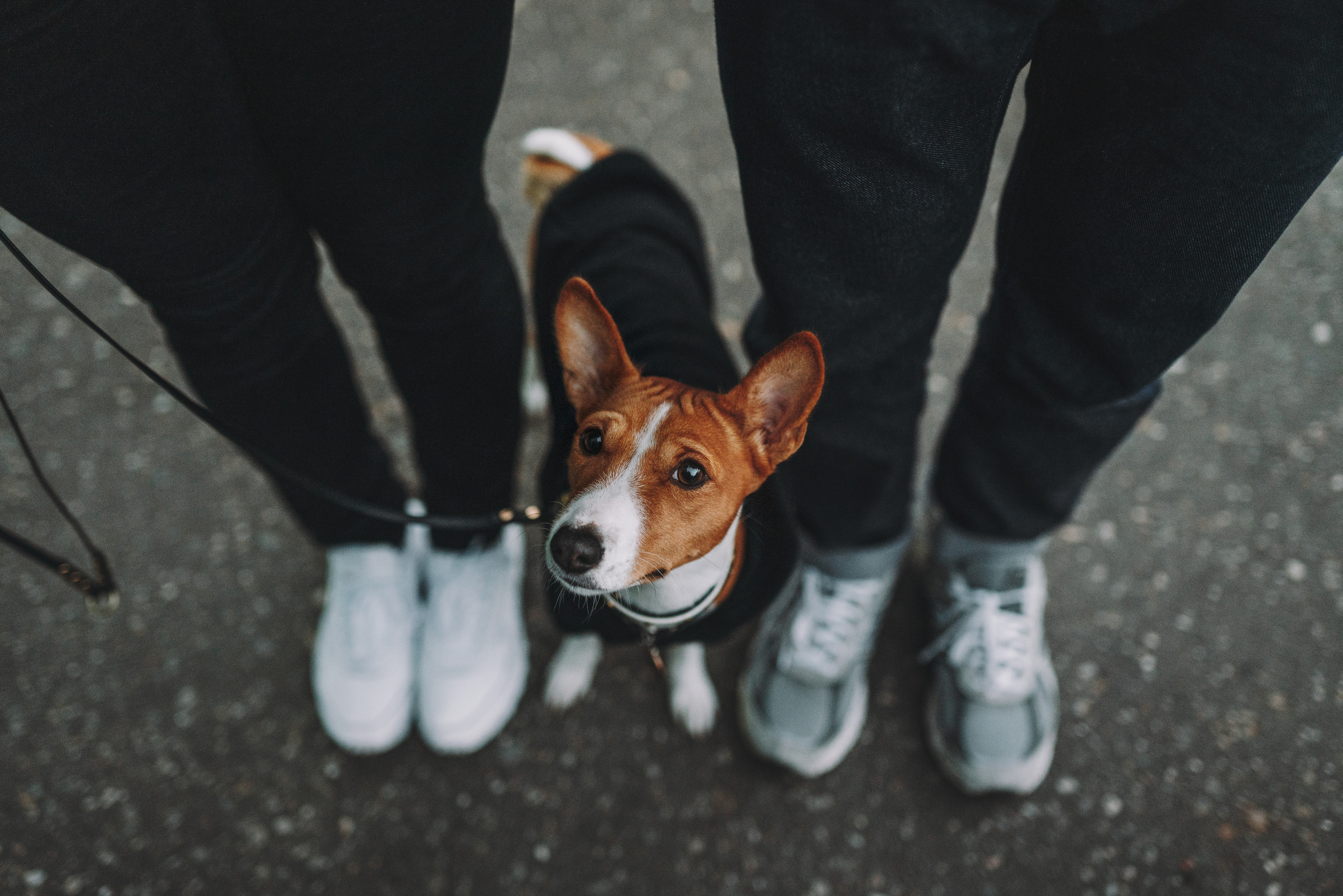 Фотограф анималист Осипчикова Мария