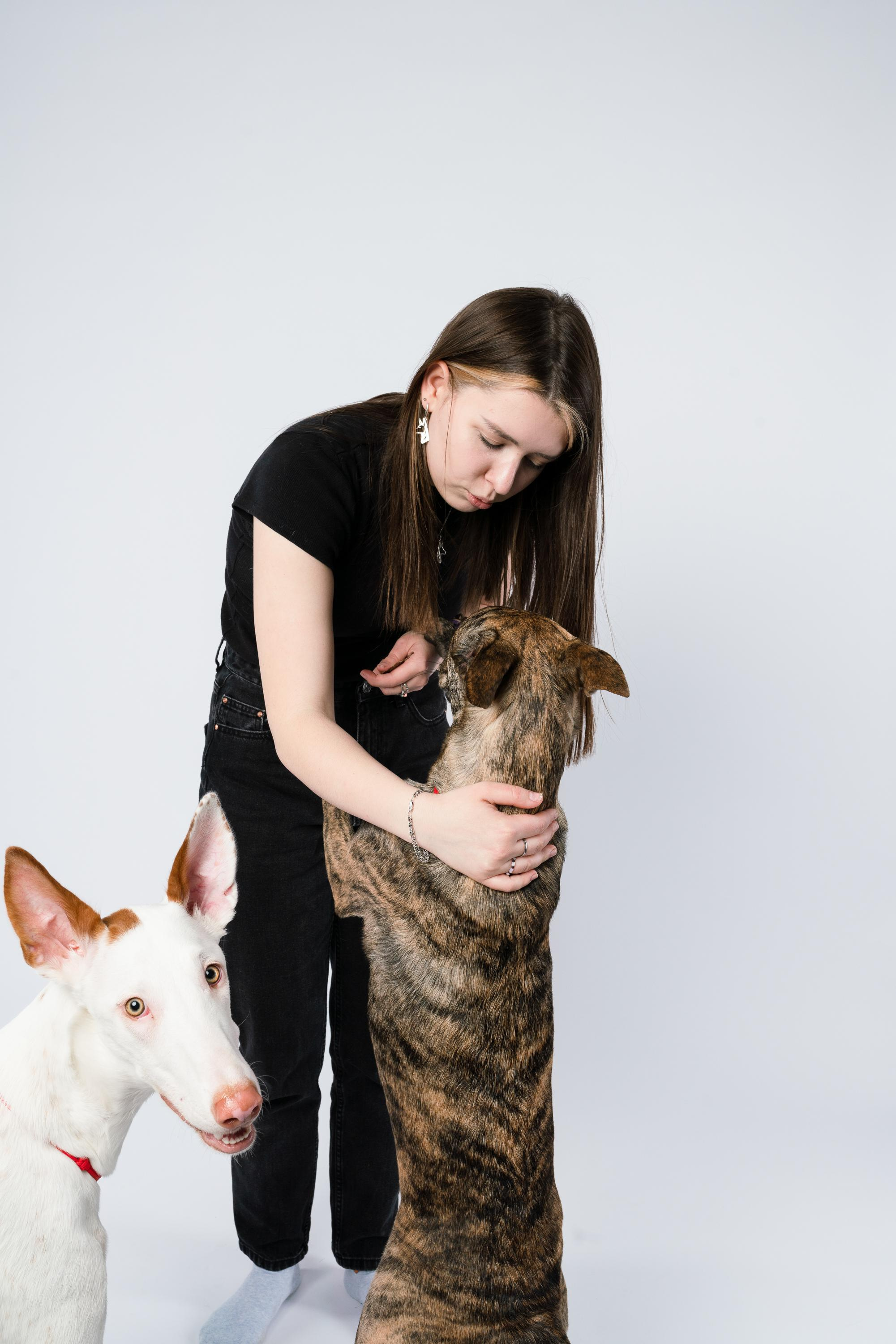 Альма, Вула и Даша. Фотограф анималист Осипчикова Мария