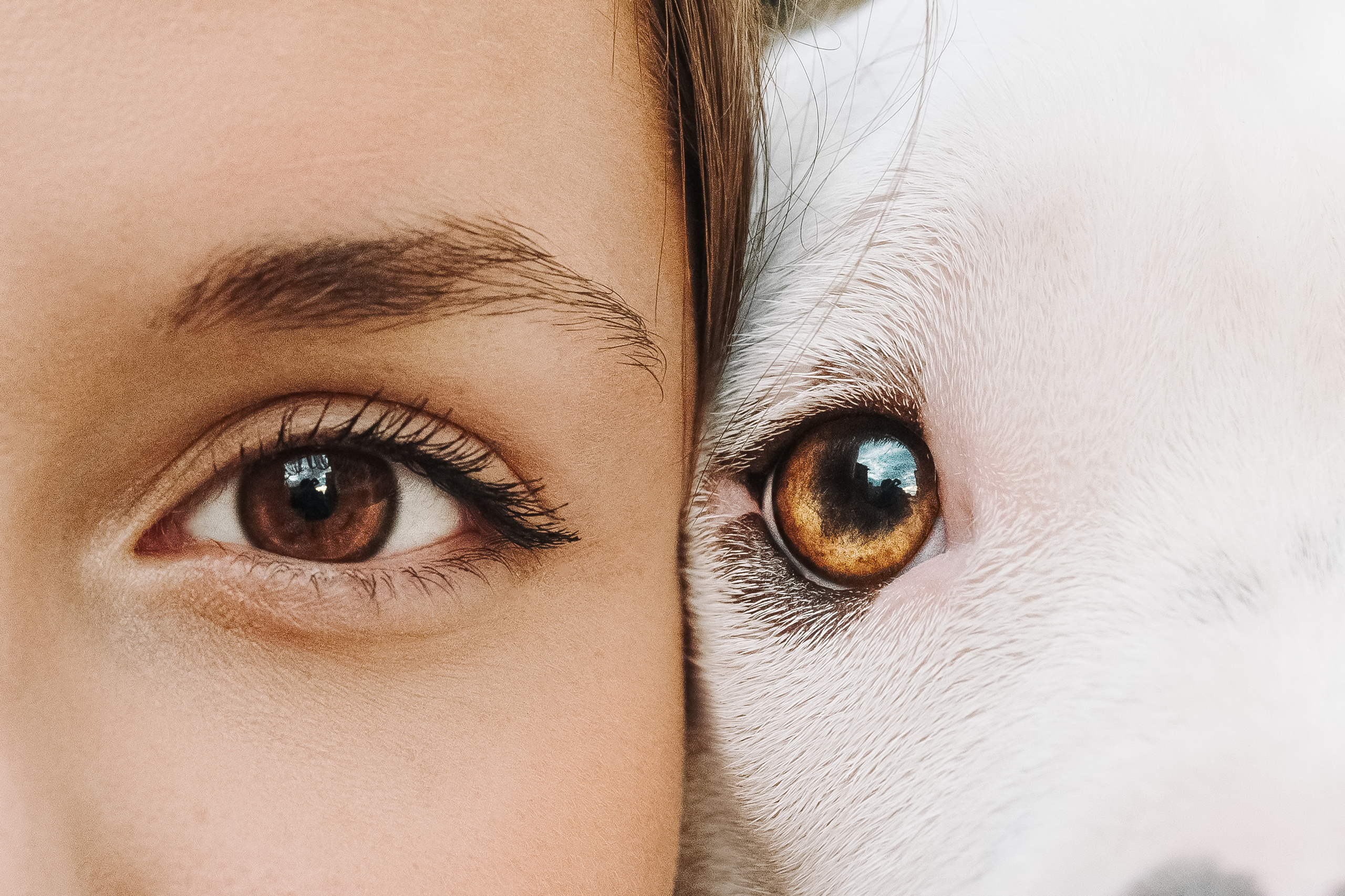 Фотограф анималист Осипчикова Мария