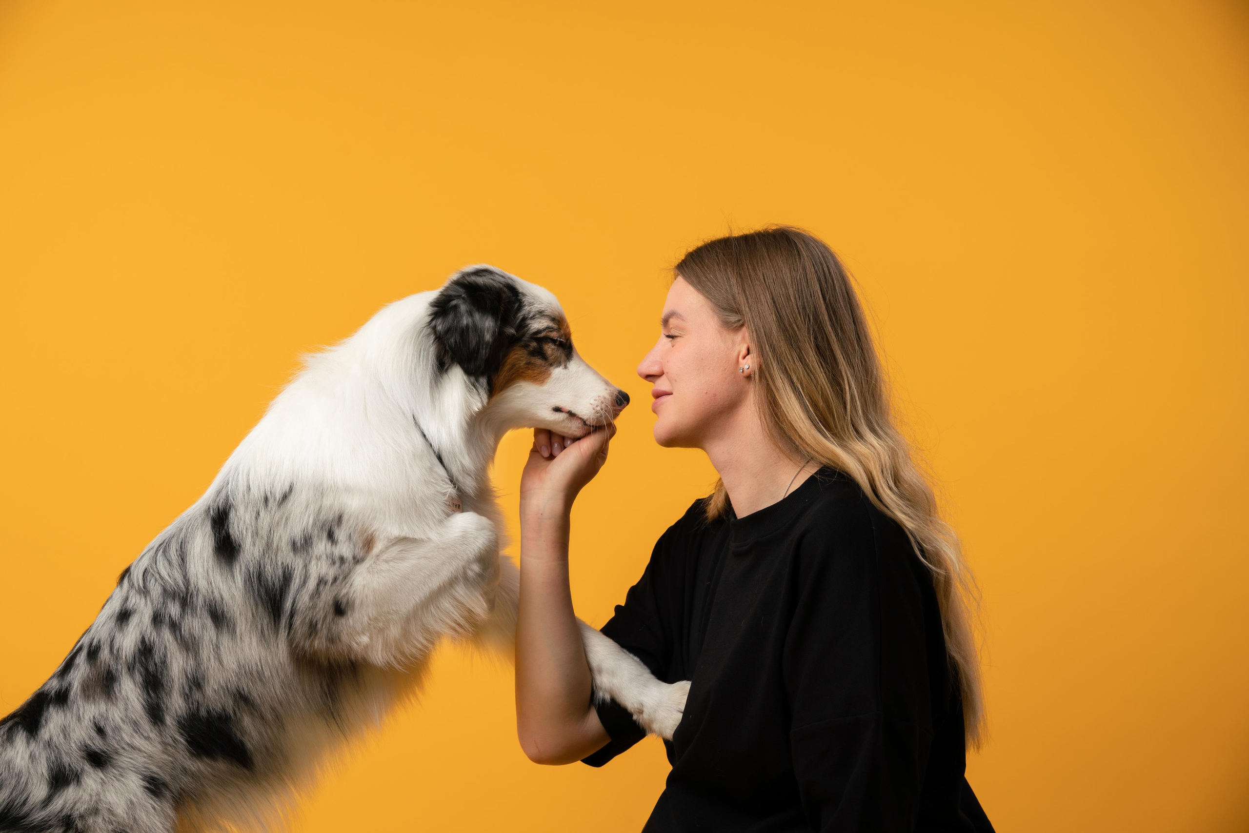 Инга и Санни. Фотограф анималист Осипчикова Мария