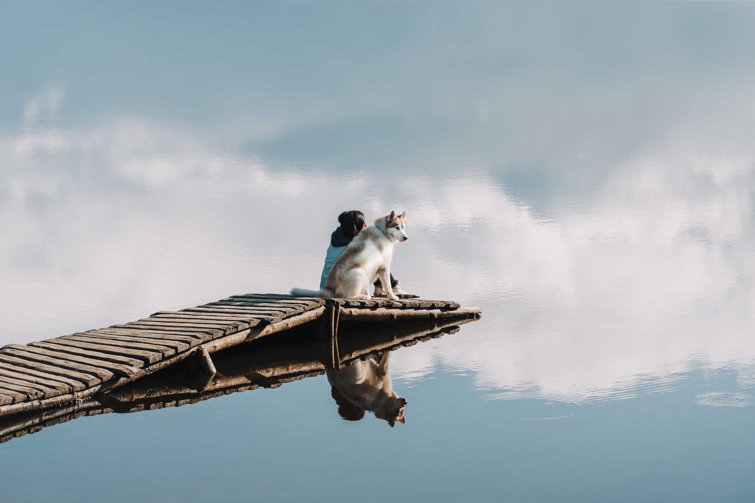 Фотограф анималист Осипчикова Мария