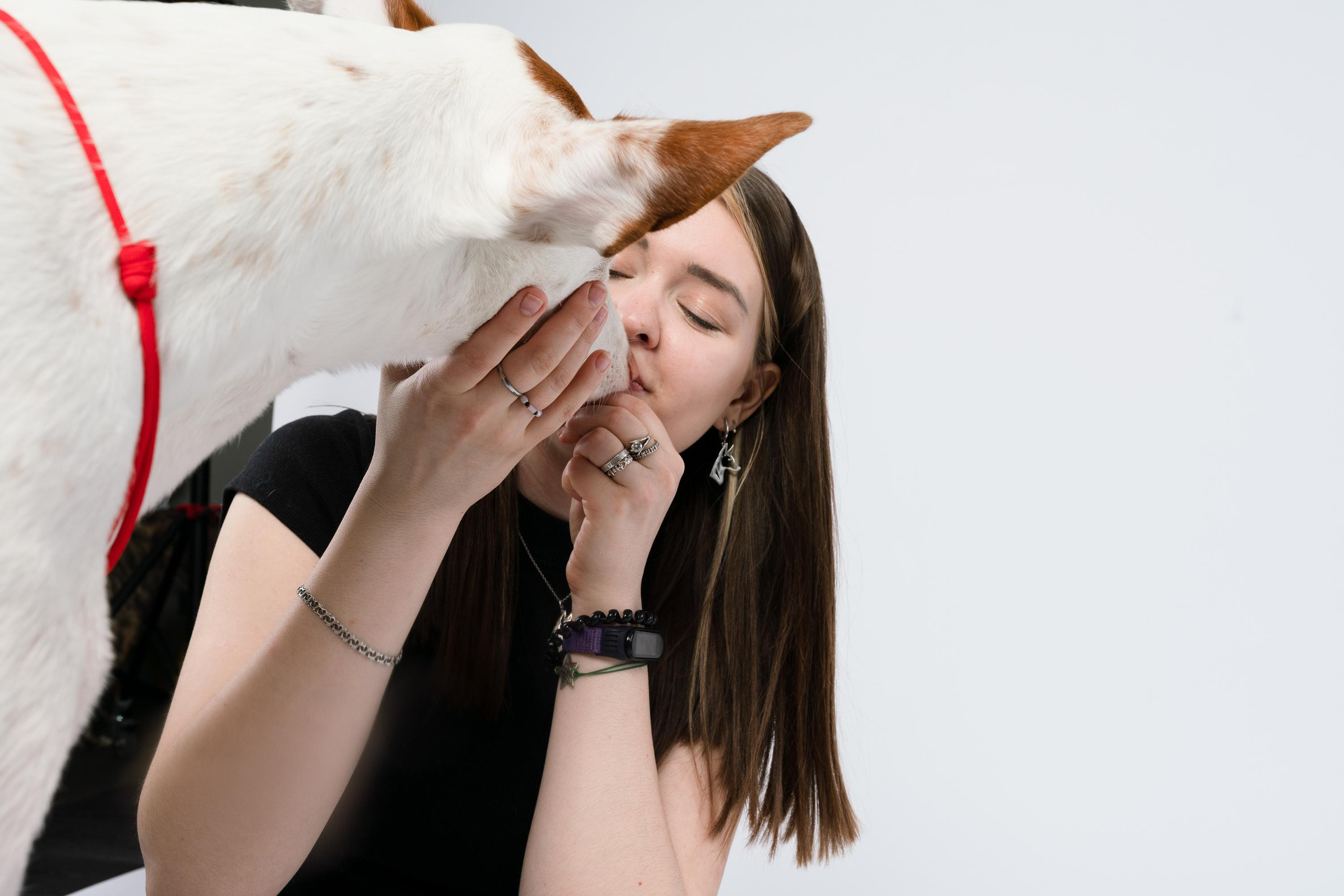 Альма, Вула и Даша. Фотограф анималист Осипчикова Мария