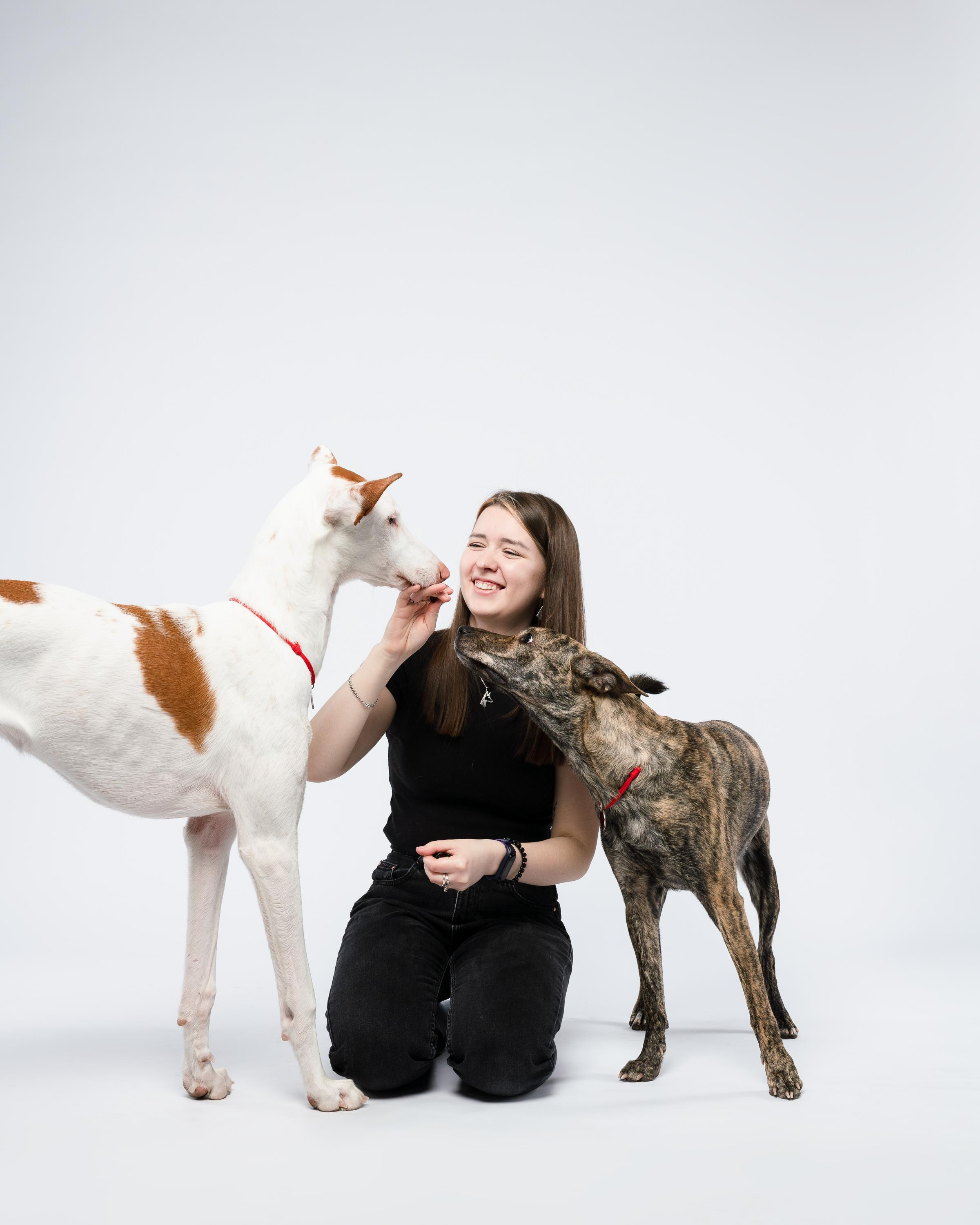 Альма, Вула и Даша. Фотограф анималист Осипчикова Мария