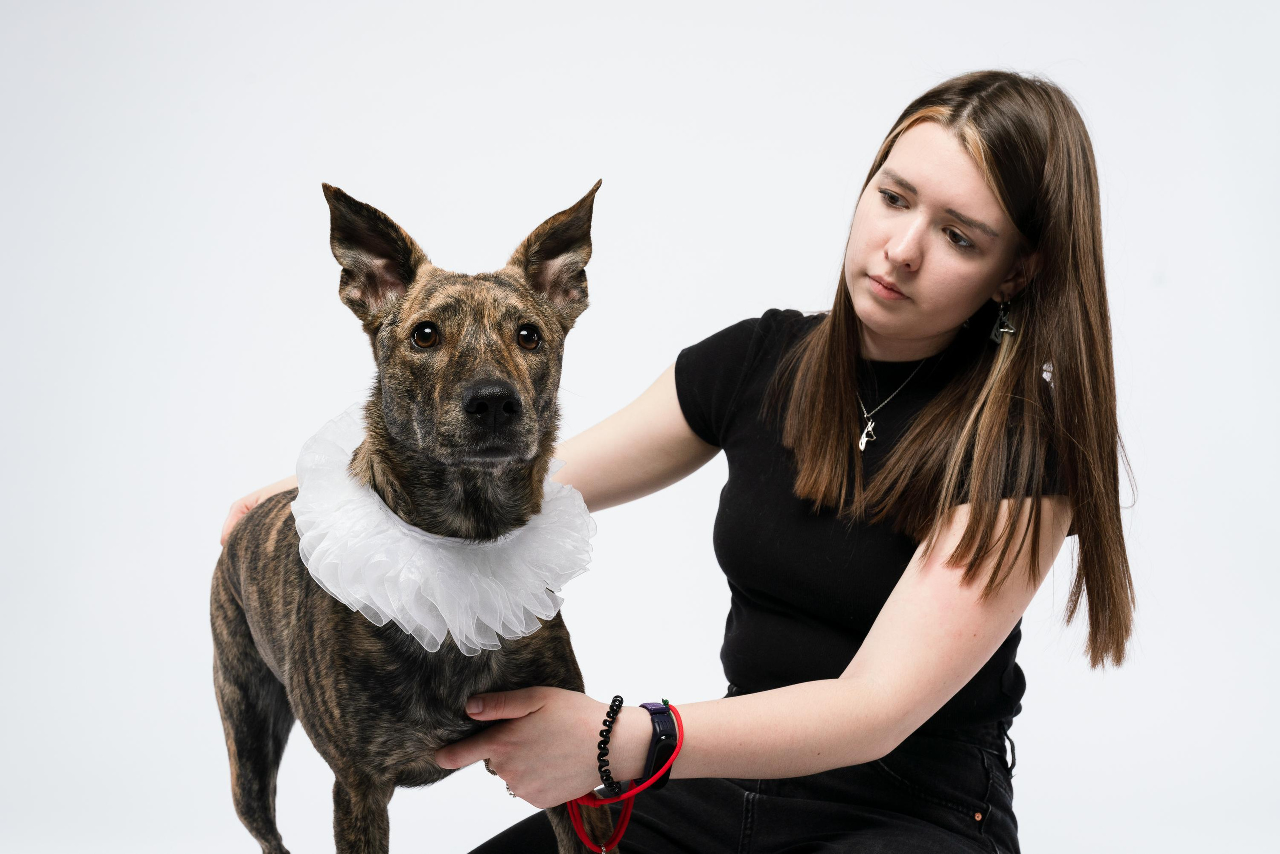 Альма, Вула и Даша. Фотограф анималист Осипчикова Мария