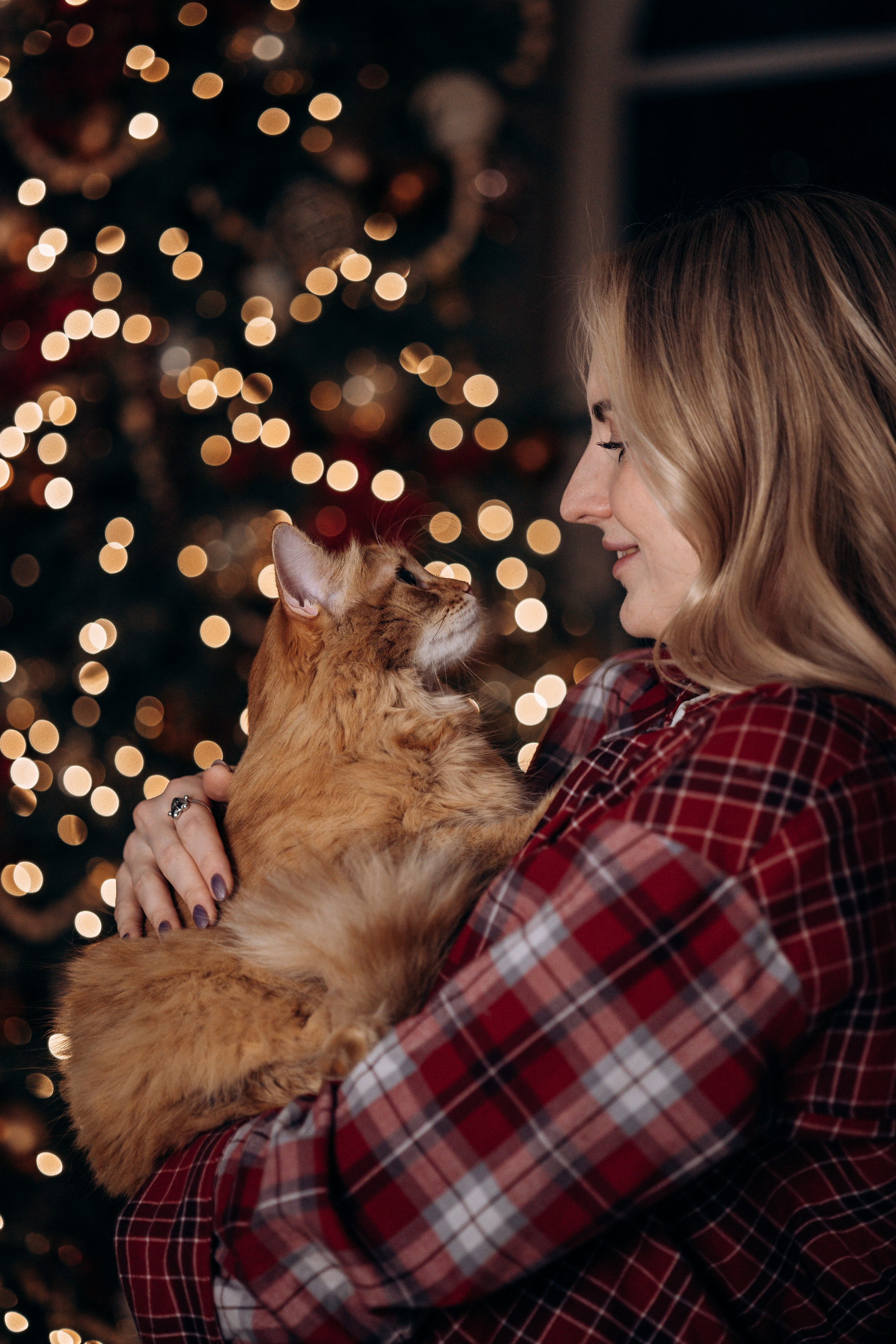 Эля и Франц. Фотограф — Анималист | Санкт-Петербург